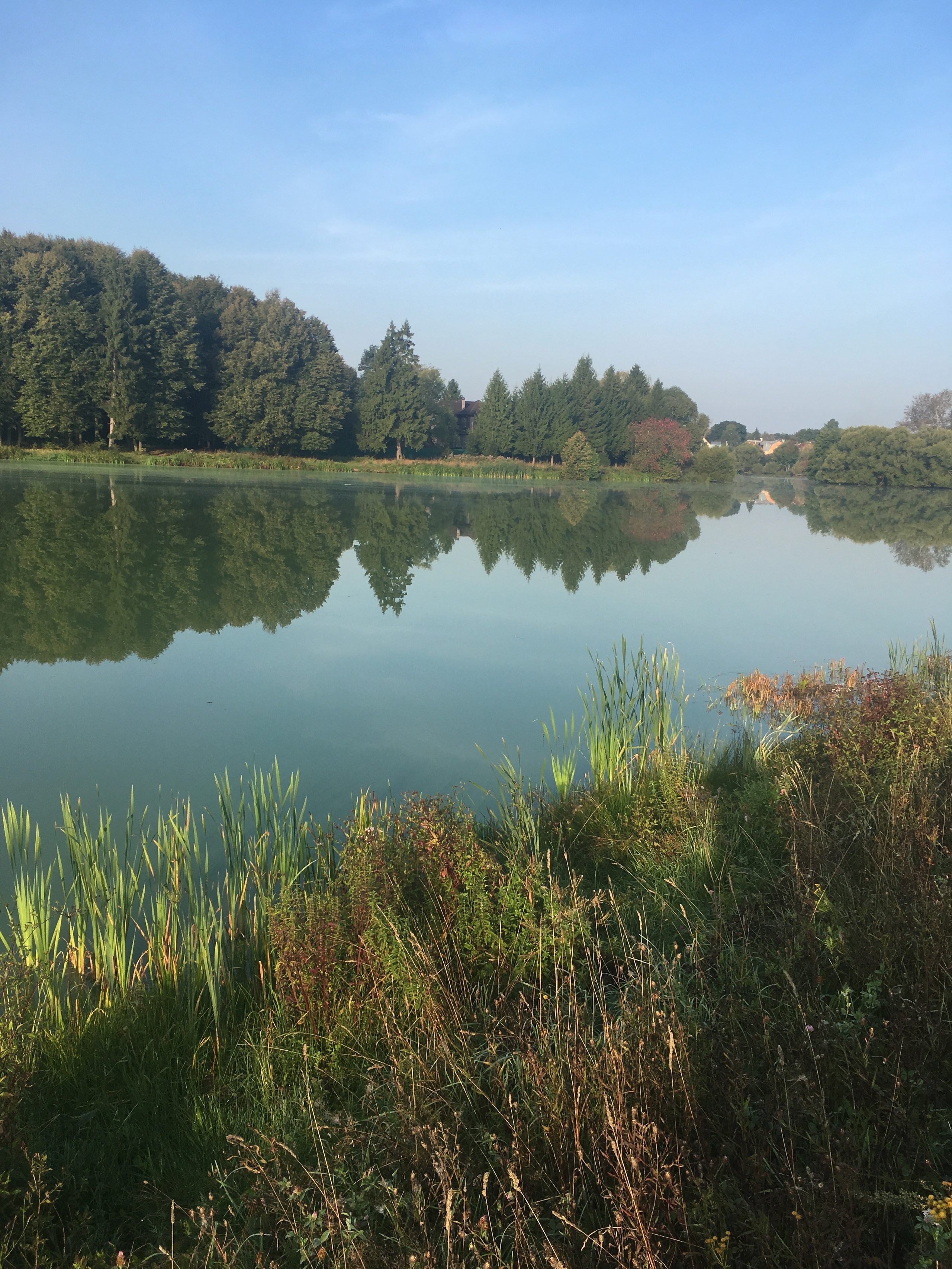 Молоди-19. Своя Мастерская