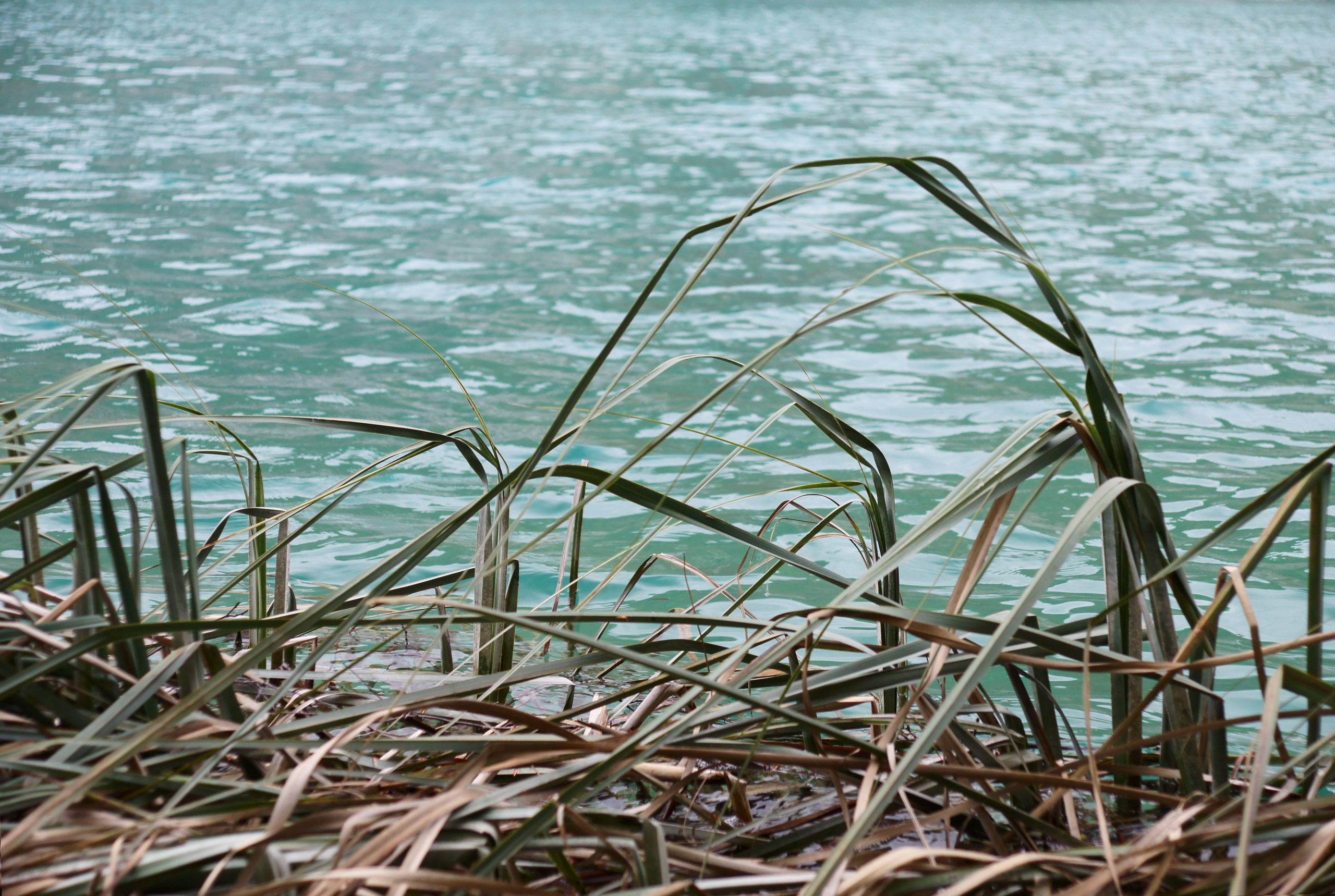 Хорватия. Главная