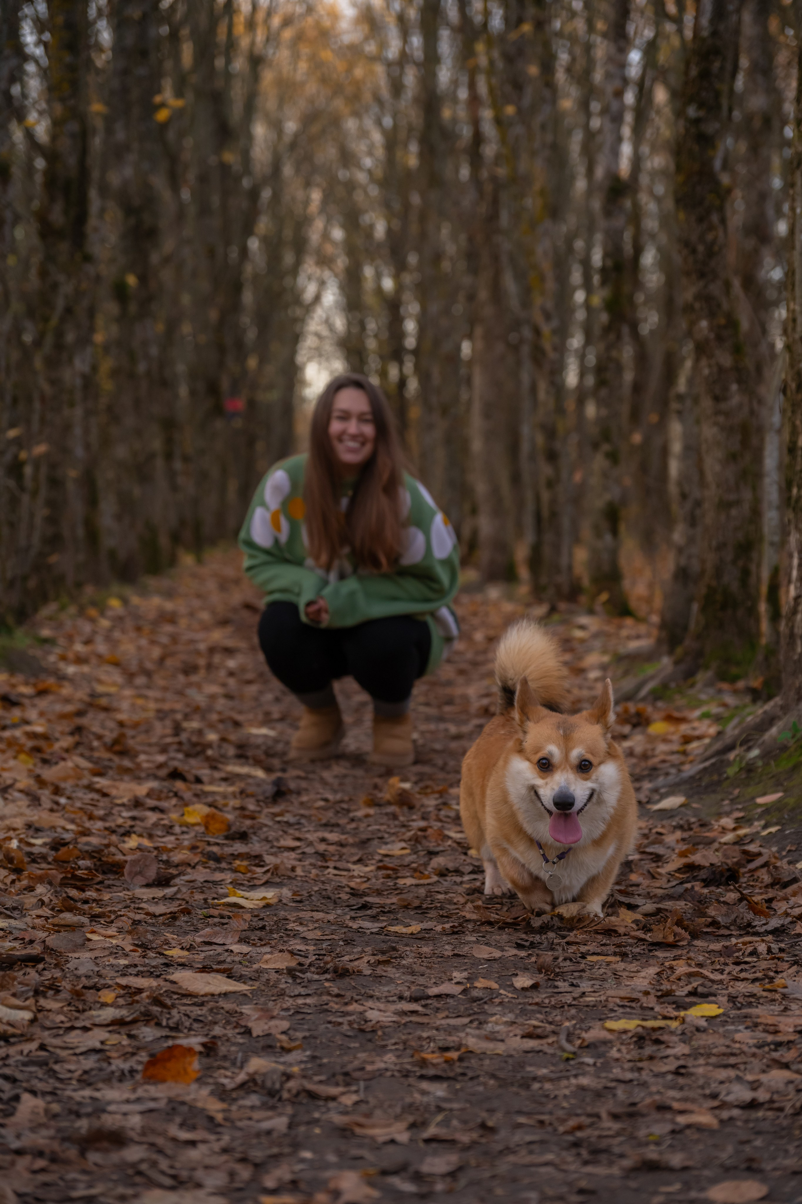 Вы и ваши питомцы. Фотограф в Санкт-Петербурге Александра Ладыгина