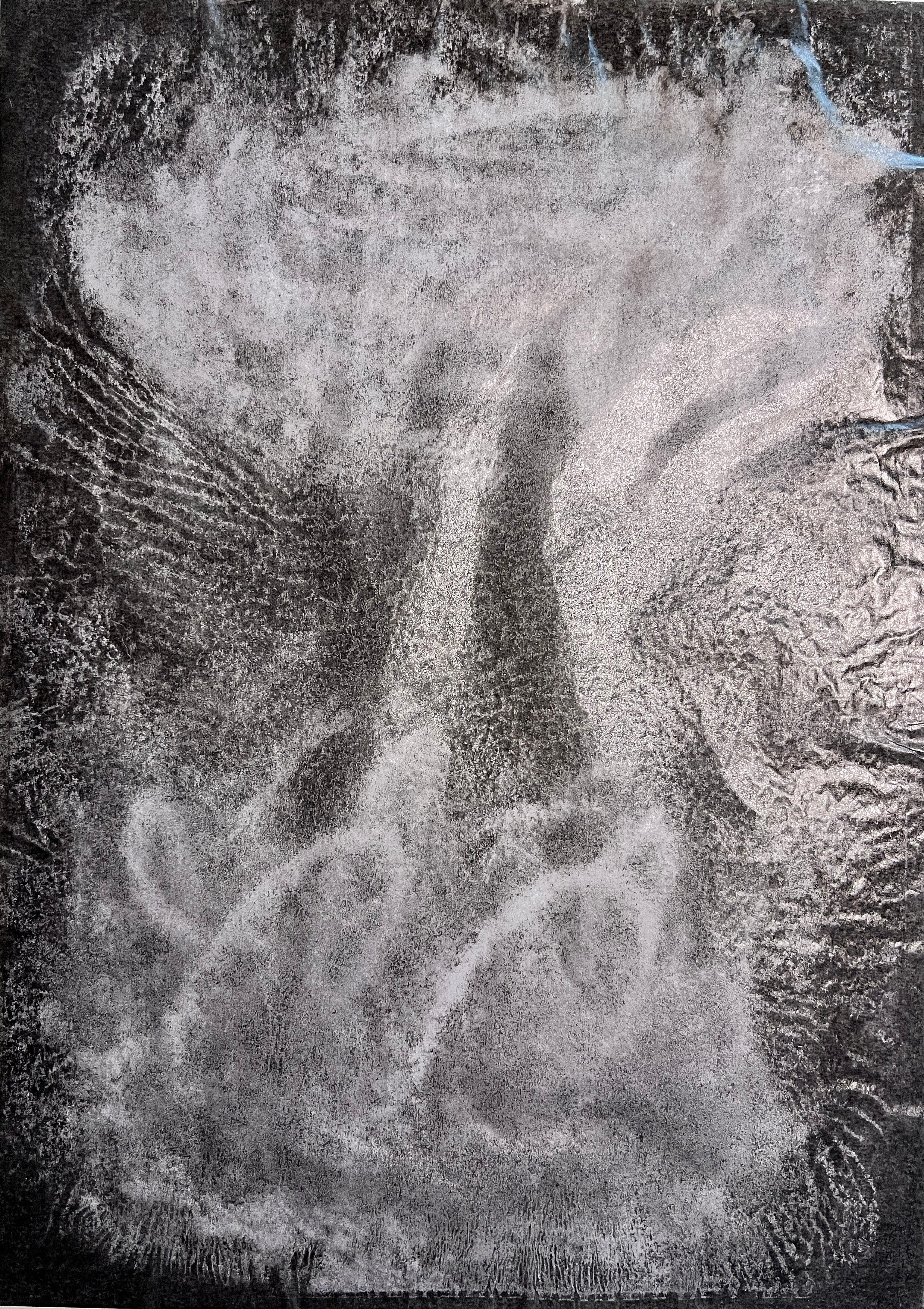 Художник  Евгения Мальцева. СОАВТОРЫ