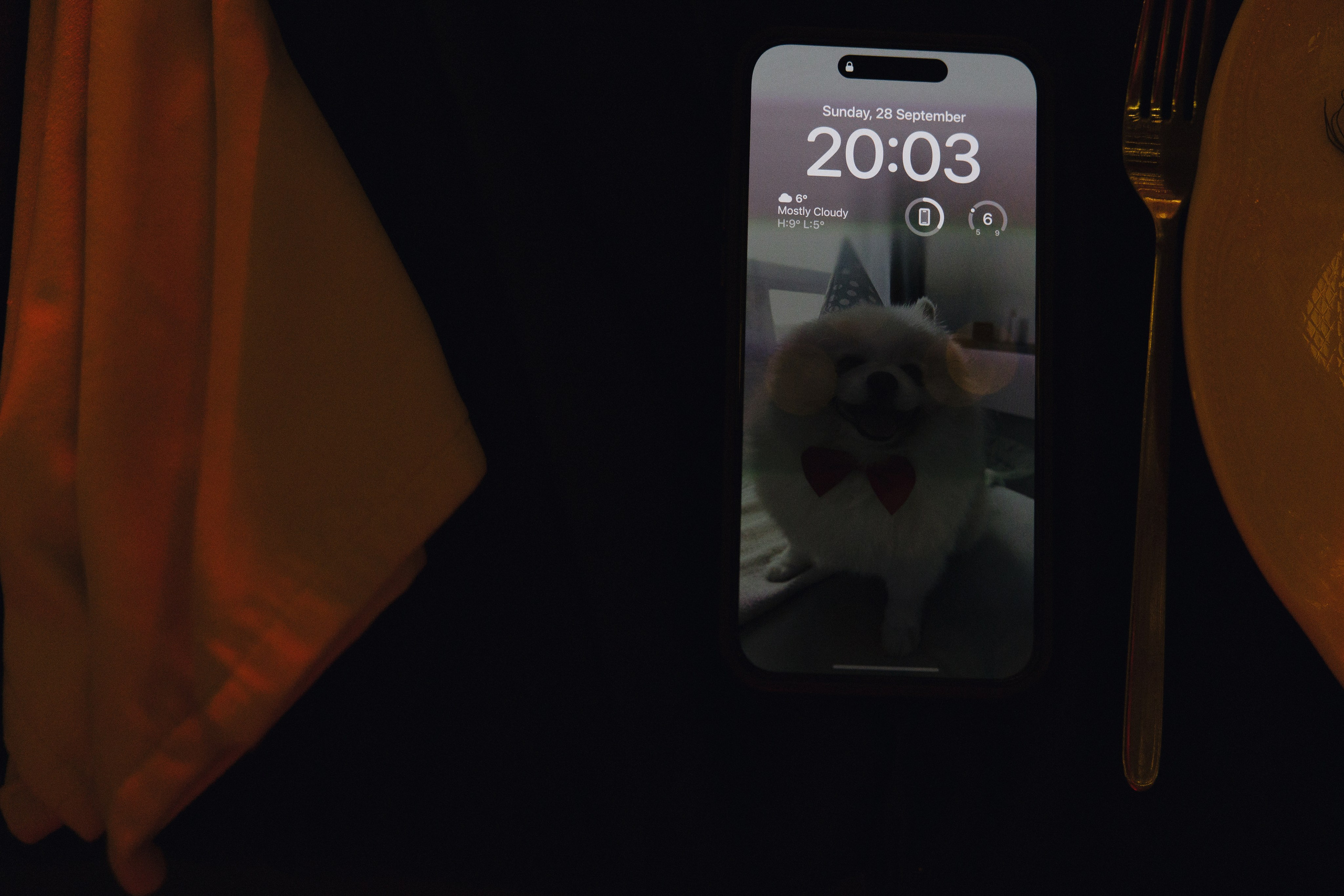 Furever Together. Свадебный фотограф в Москве Дмитрий Тарасов