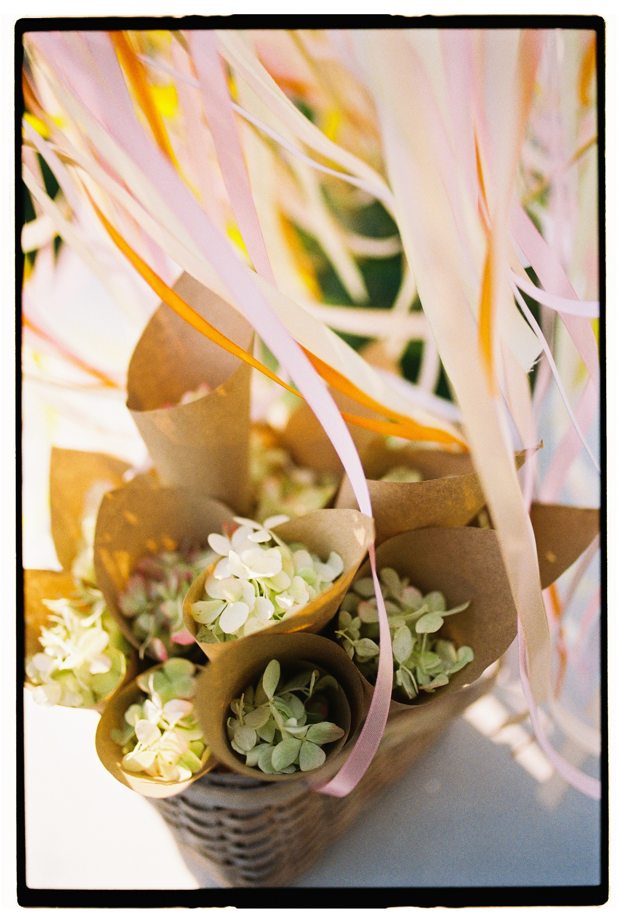 Валентин и София. Свадебный фотограф в Москве Евгений Рыжов