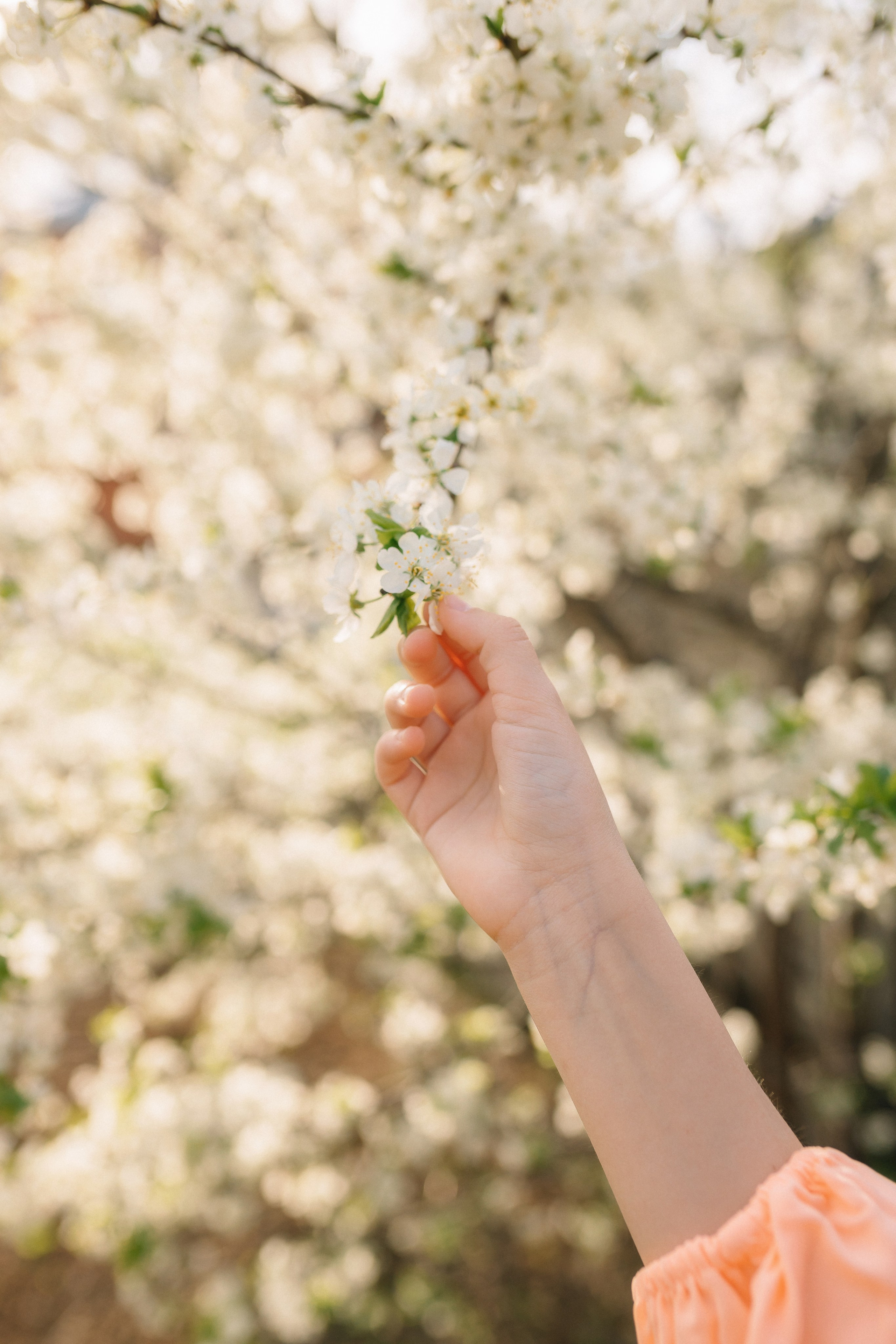 Цветение. Детский и семейный фотограф г. Чебоксары Оля Горбунова