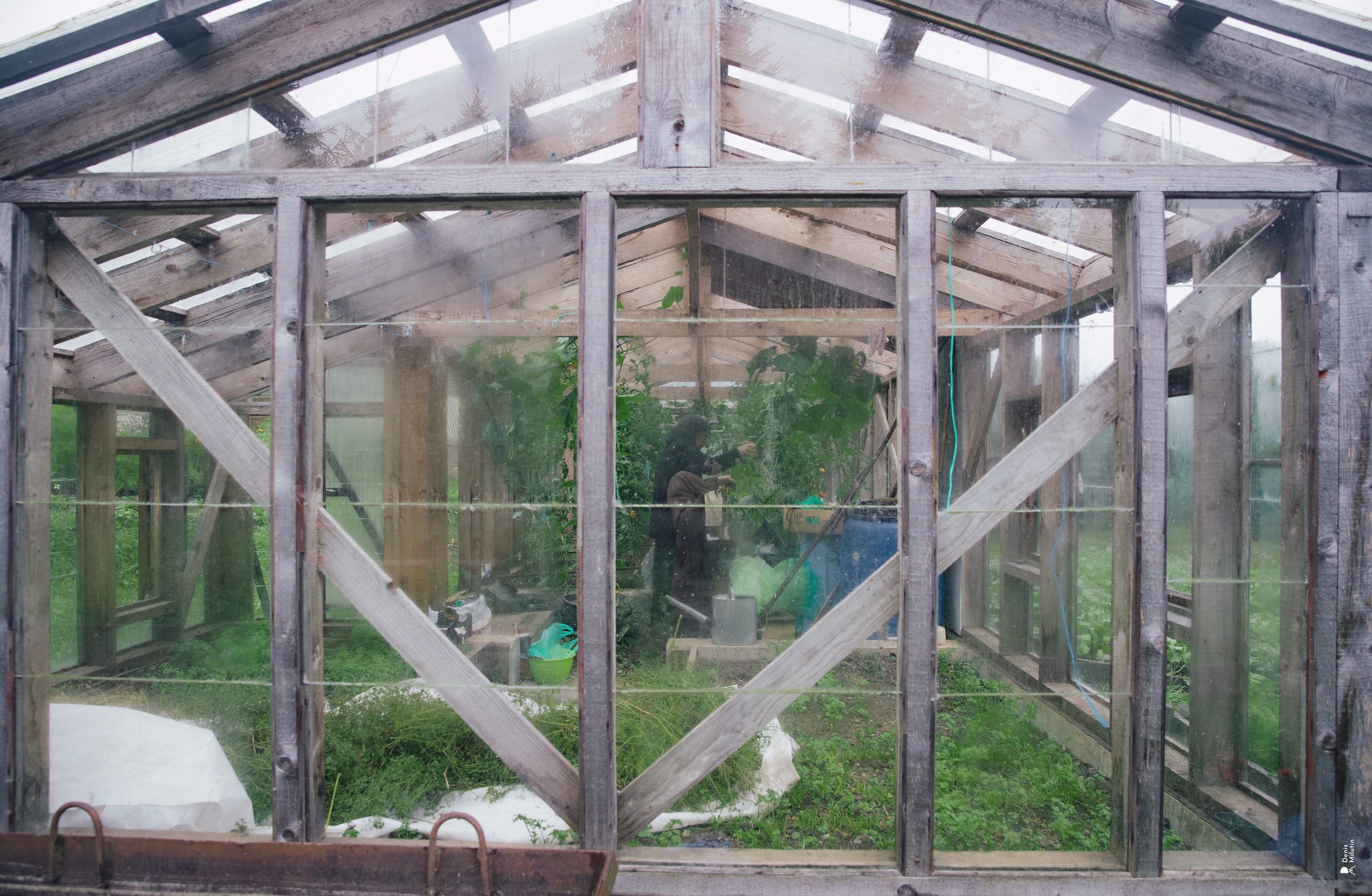 Женский Митрофаниевский скит Важеозерского мужского монастыря. Портретный фотограф Денис Милютин