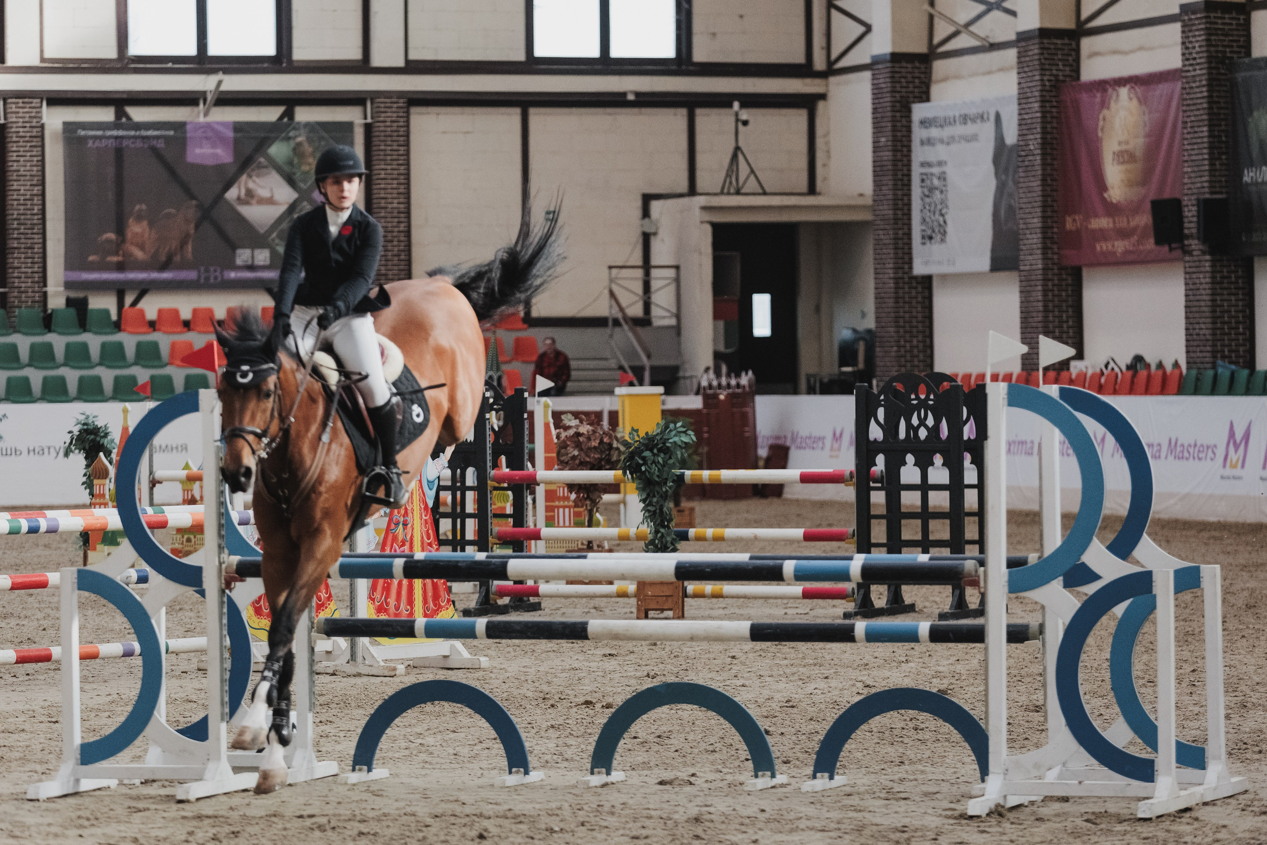Лошади Евы Демидовой. Ева Демидова. Спортсмен по конкуру в Санкт-Петербуре