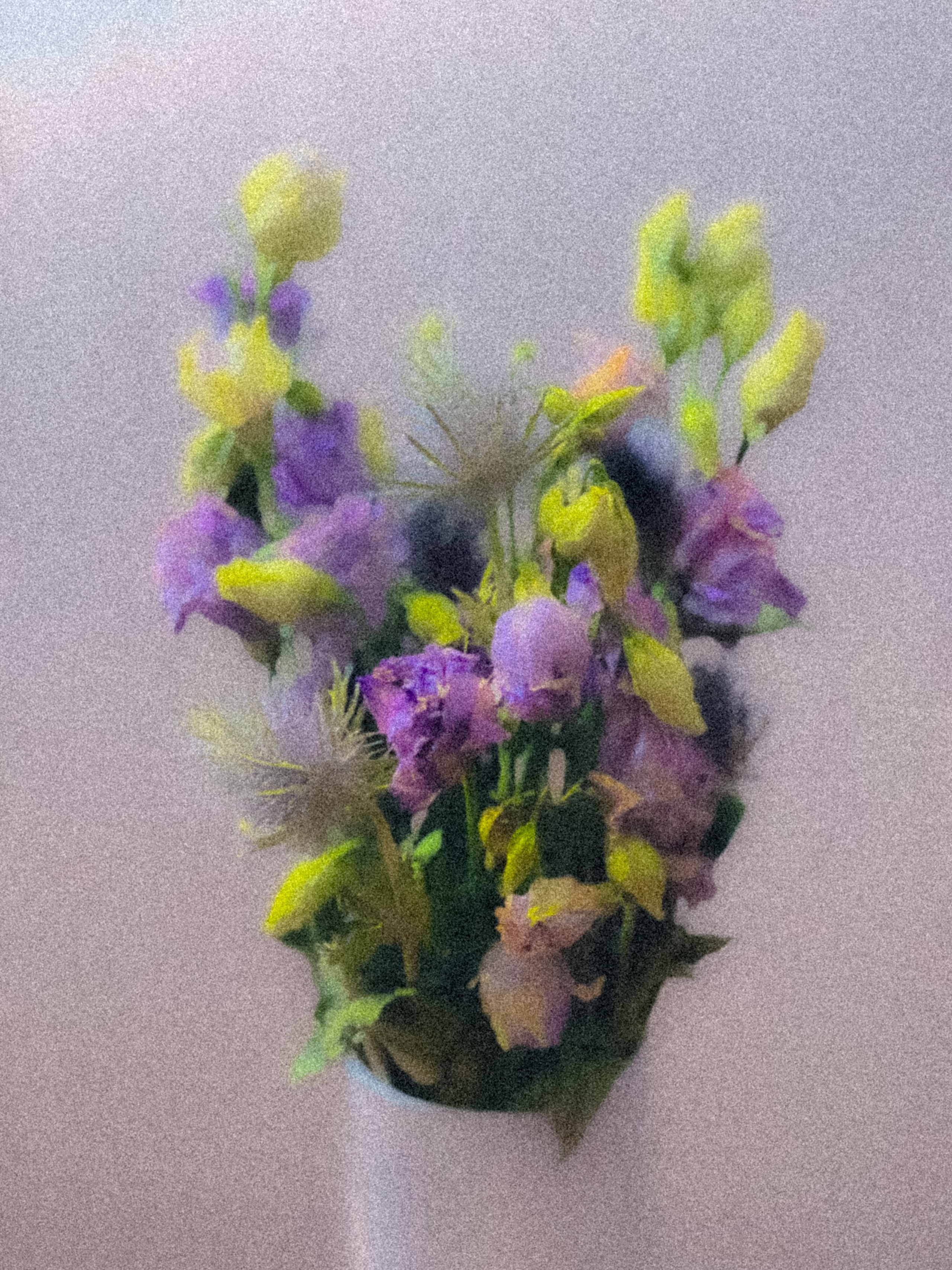 2025. Марфин. Фотограф