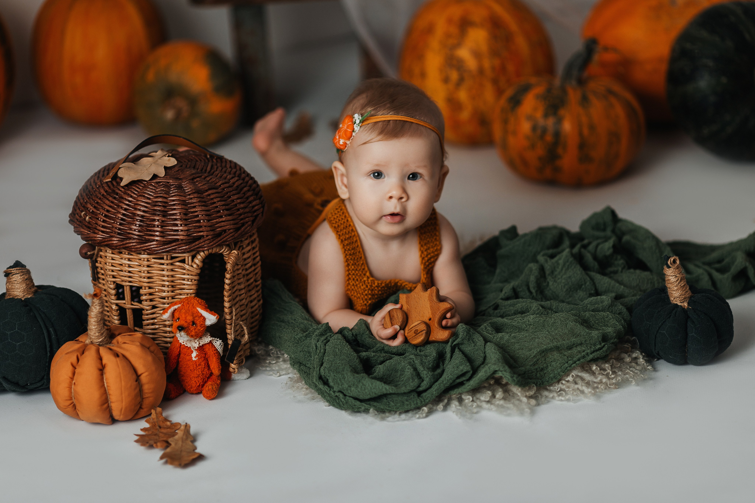 Тыквы. Фотограф новорождённых Екатерина Боброва. Ульяновск