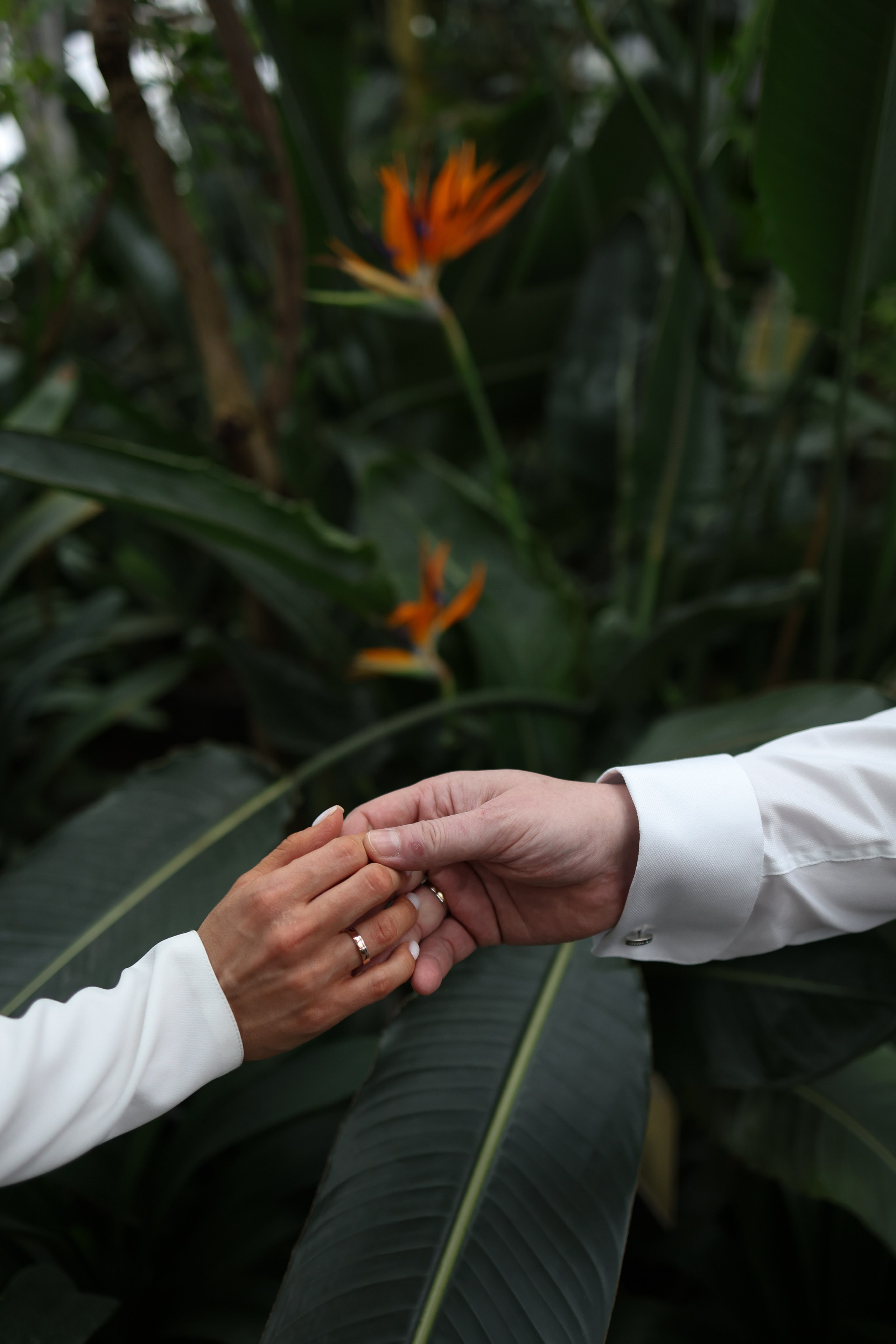 Алексей и Ксения. Фотограф и видеограф в Москве Полина Абраменкова