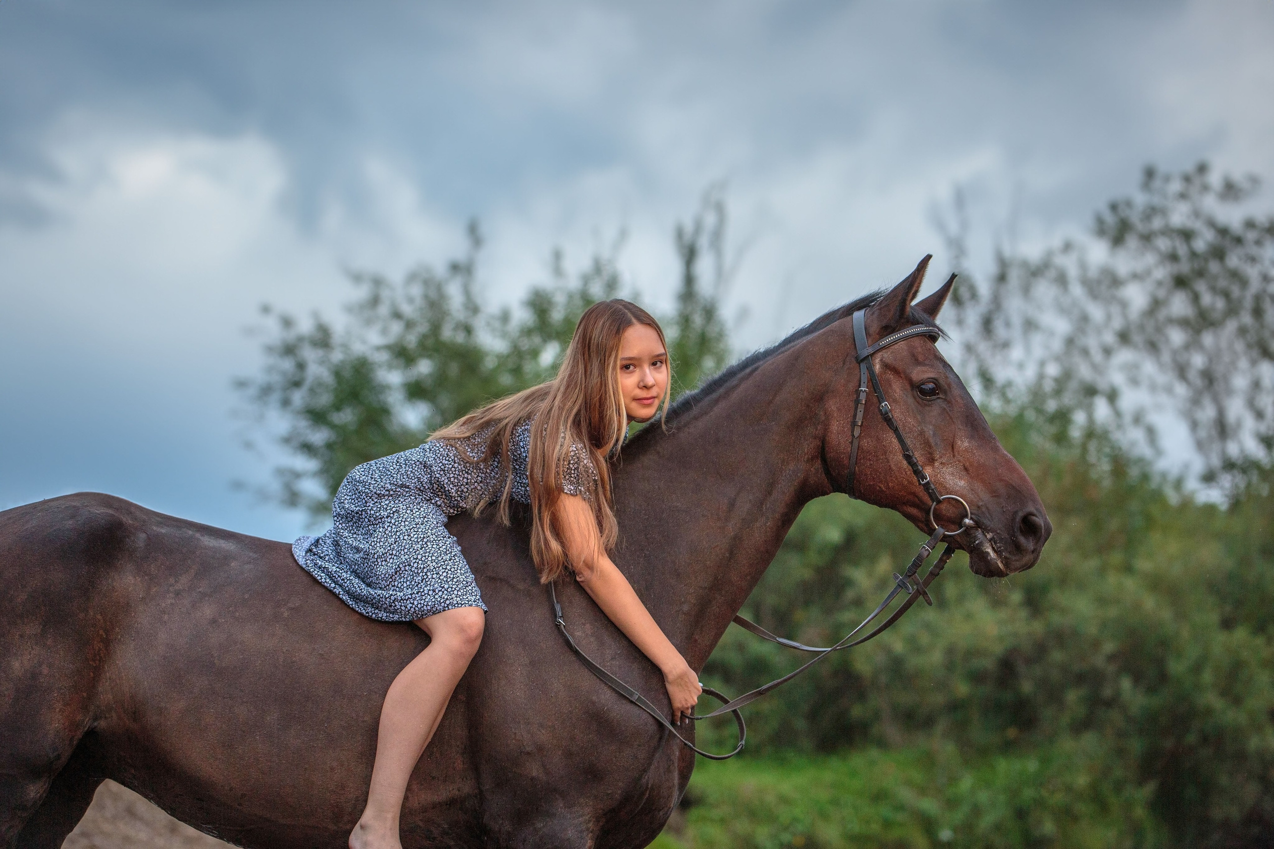 Конный двор. Конный фотограф в Красноярске — Любовь Похабова