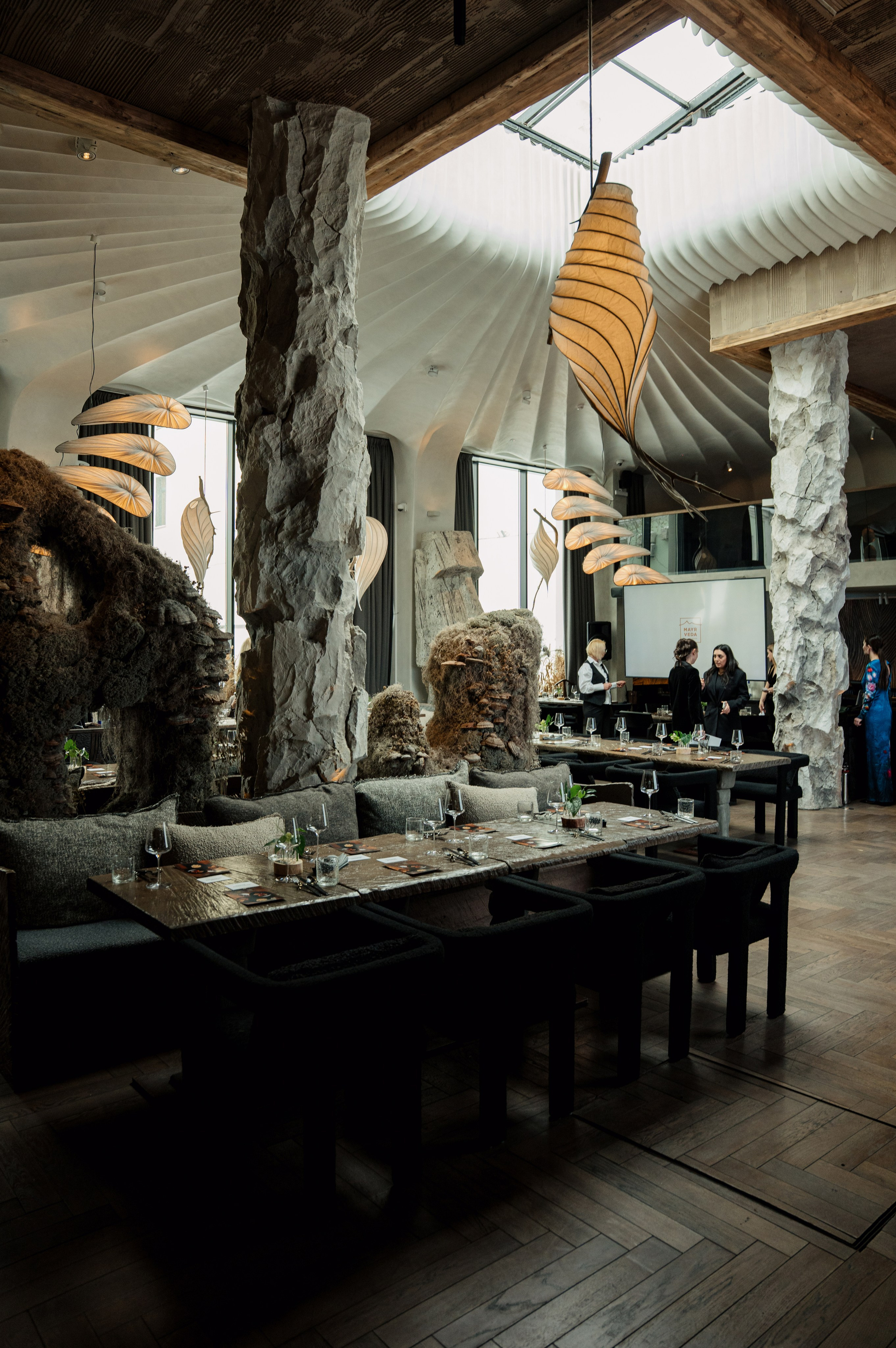 MAYR VEDA. Yankovski_001