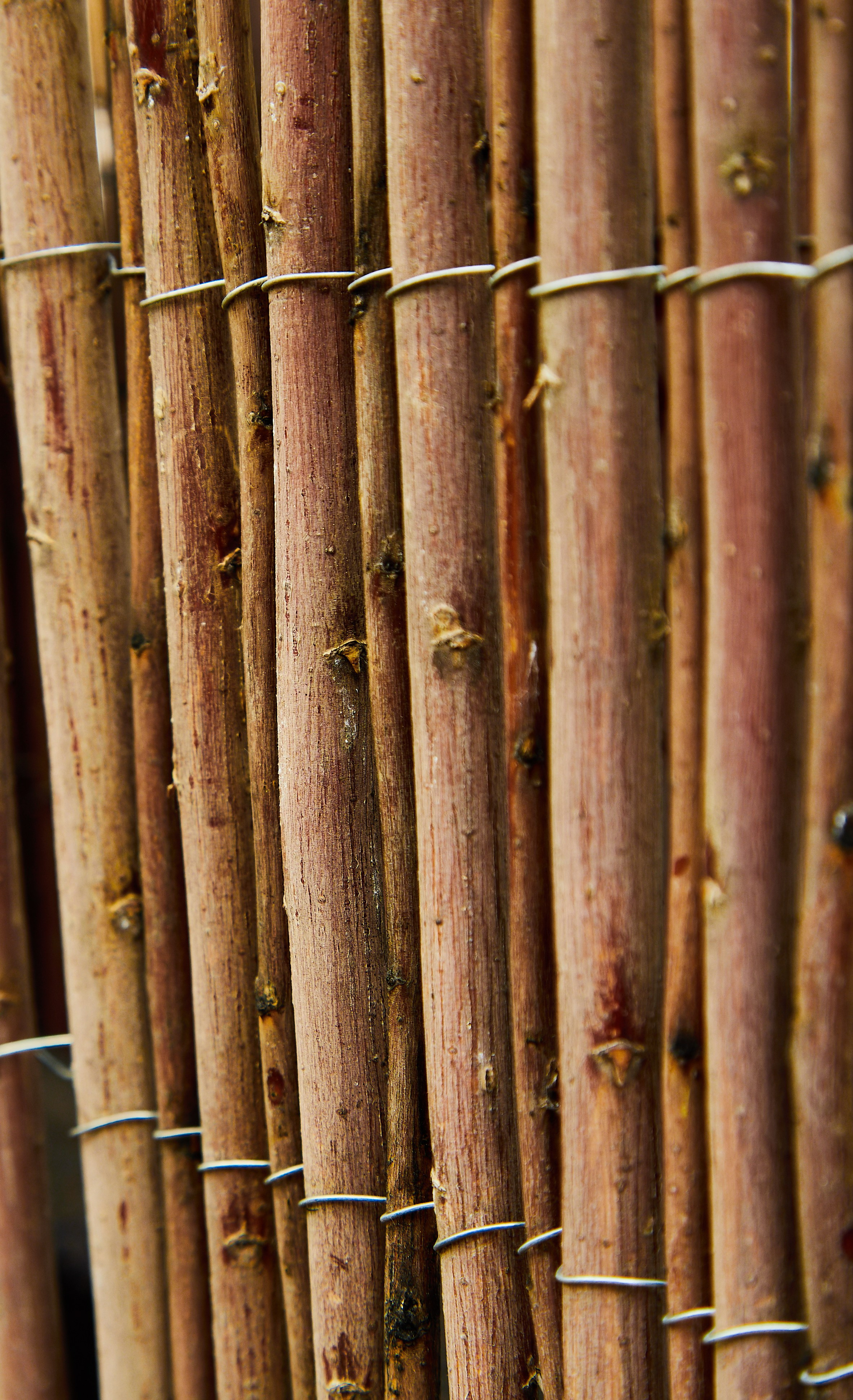 АКЕВ Красноярск