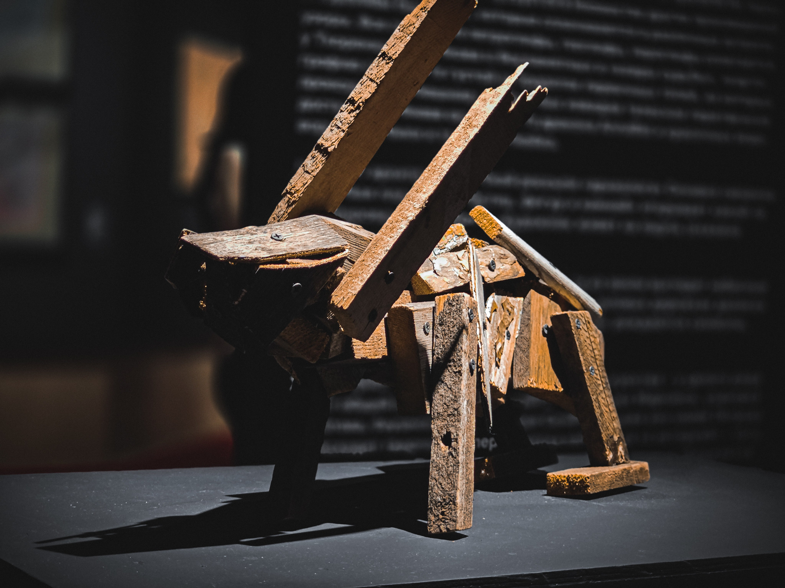 Выставка «Сны Сибири». Игорь Урывский. Фотограф Красноярск