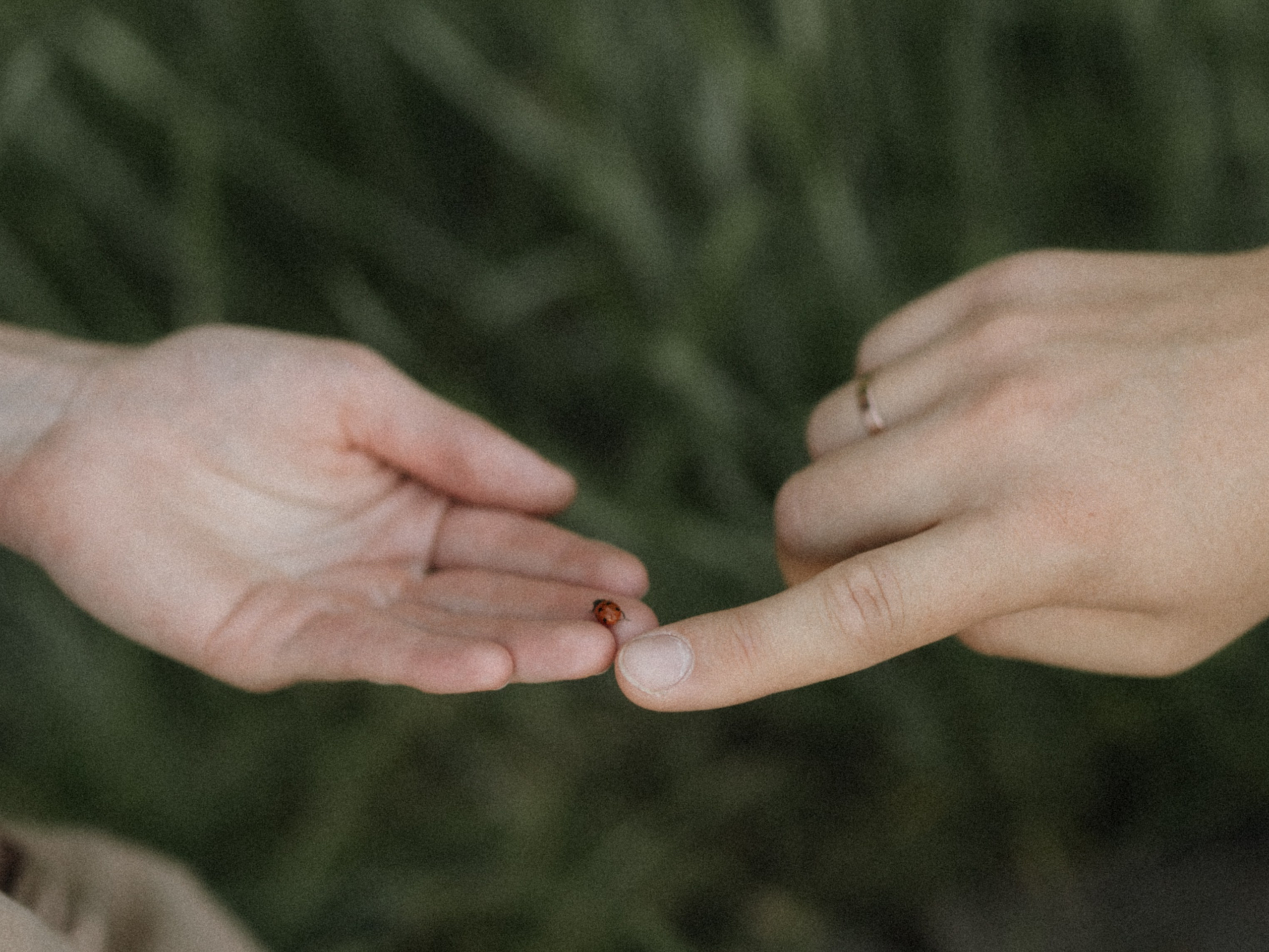 ♡. Фотограф во Владимире, Москве и Суздале-Виктория Чистякова