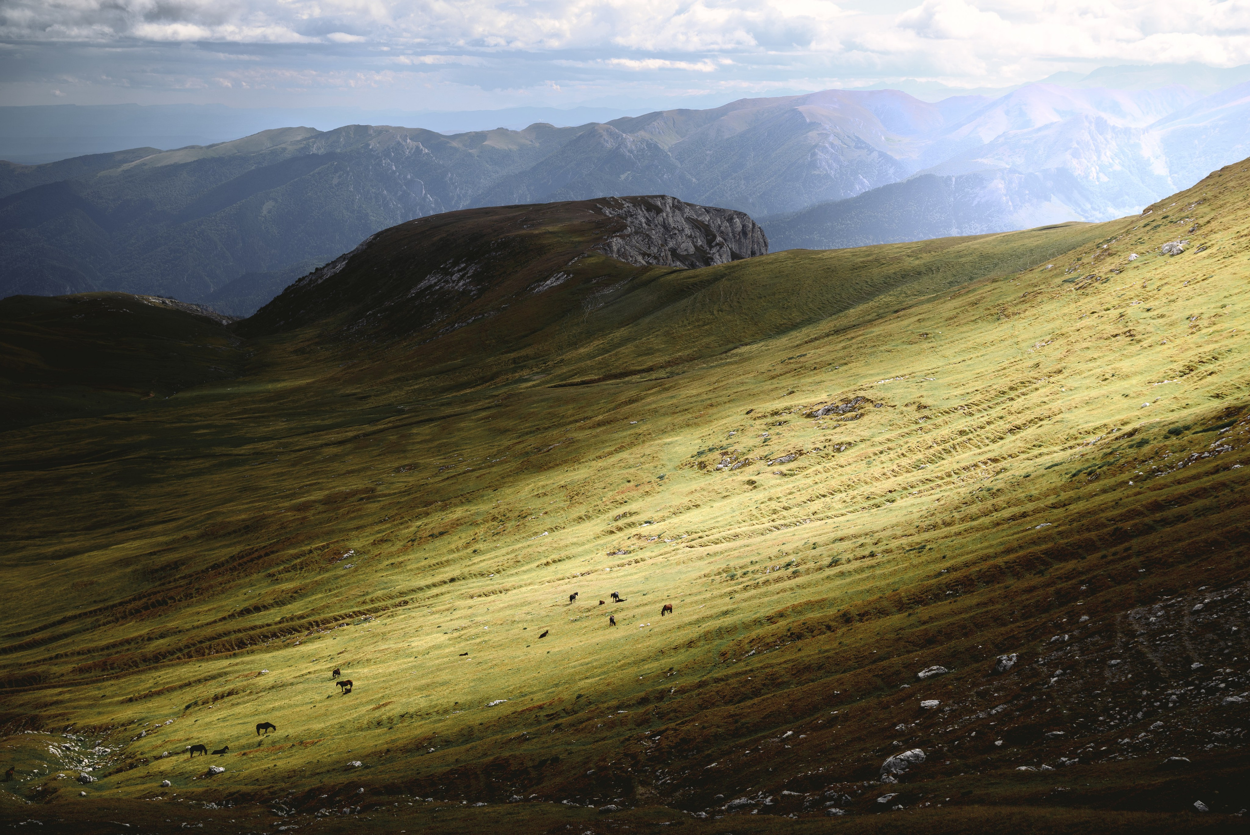 фотография кавказских гор, Магишо, лошади пасутся в горах