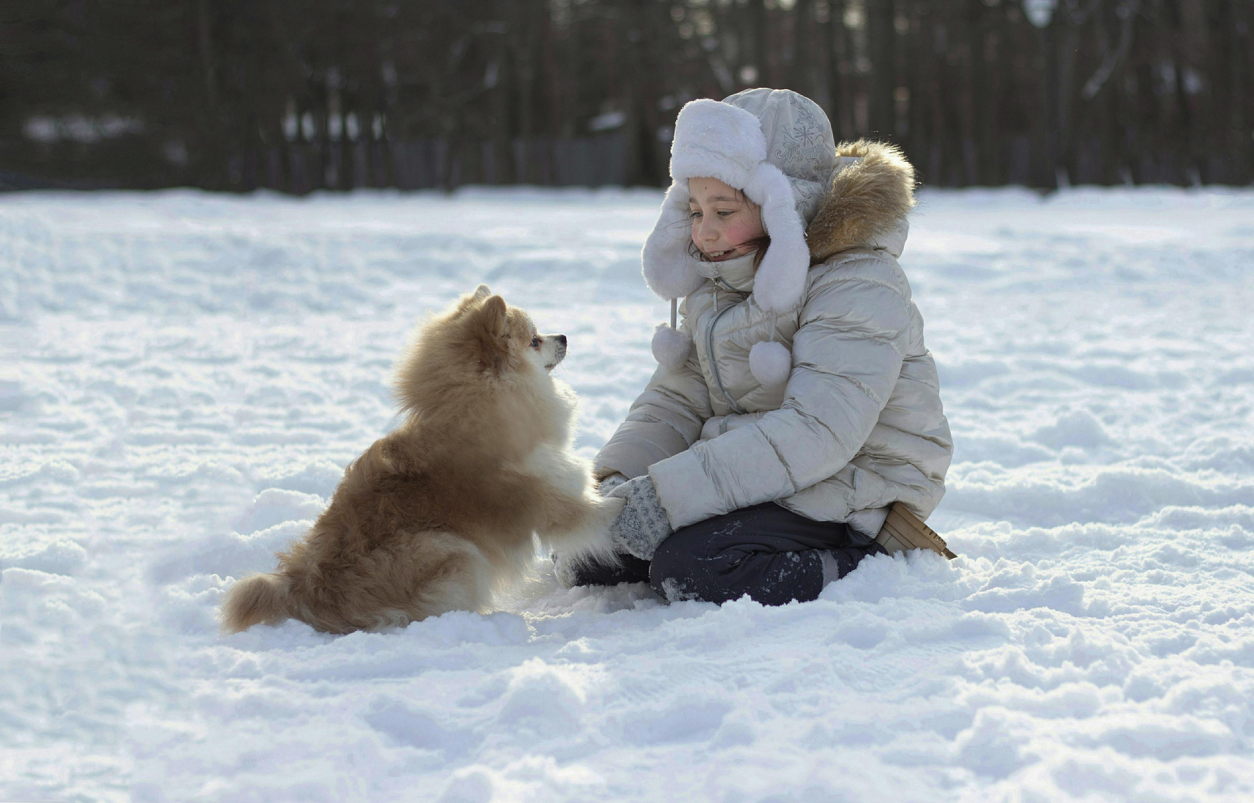 Фотосессия с домашним питомцем. Детский и семейный фотограф в Уфе Зинаида Вольштейн