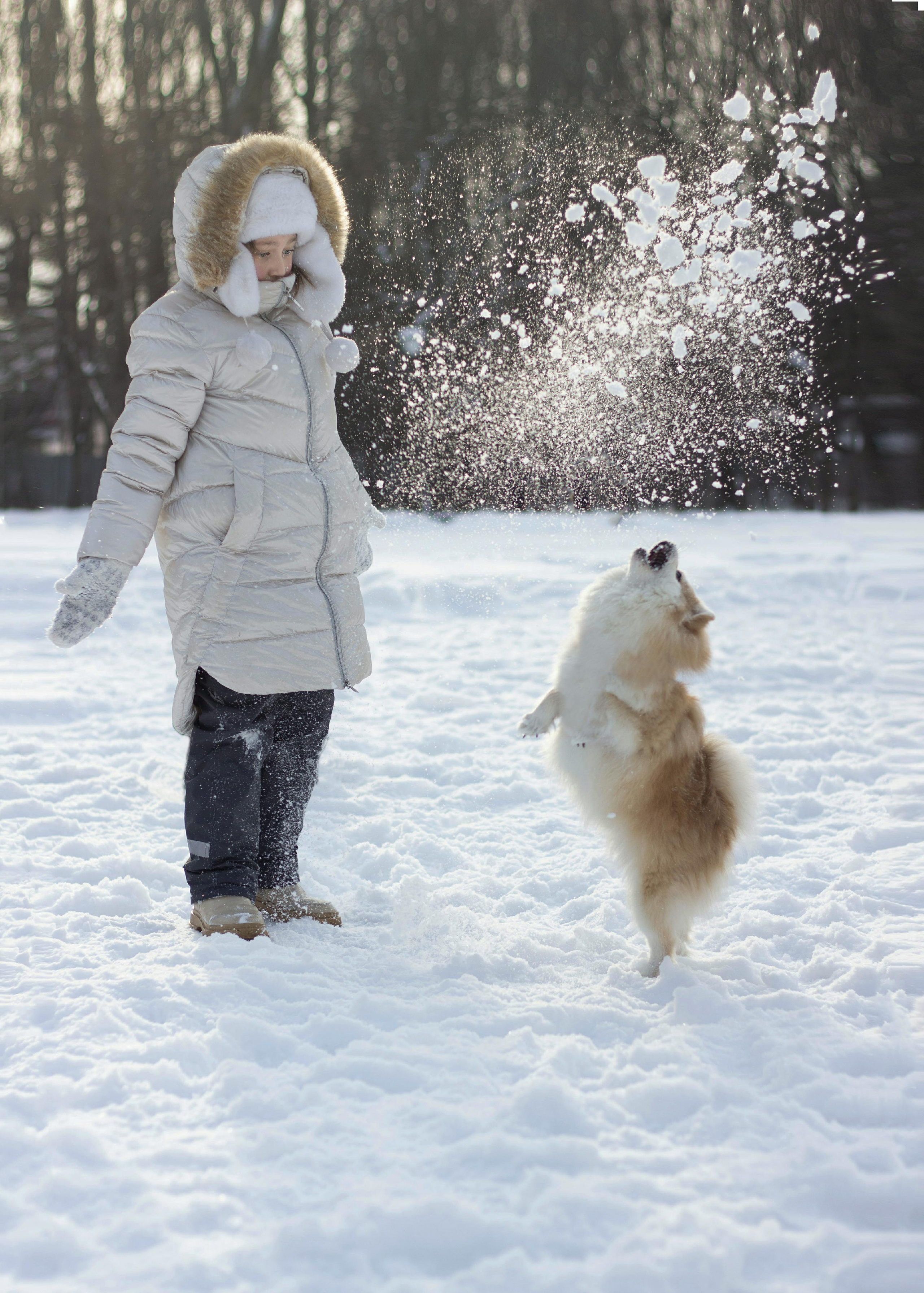 Фотосессия с домашним питомцем. Детский и семейный фотограф в Уфе Зинаида Вольштейн