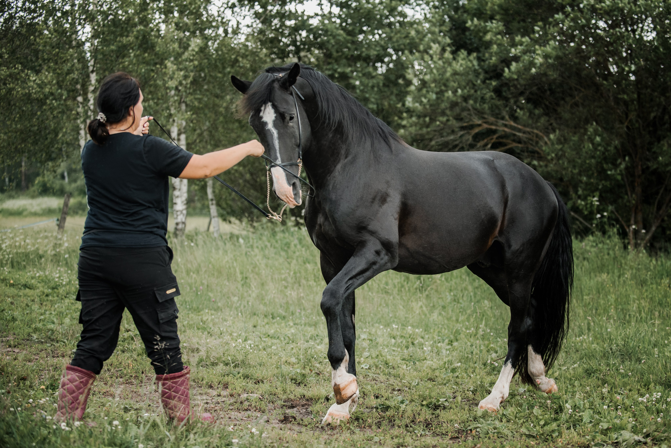 KOMARDINS. Конный фотограф Куракина Дарья • Фотосессии с лошадьми