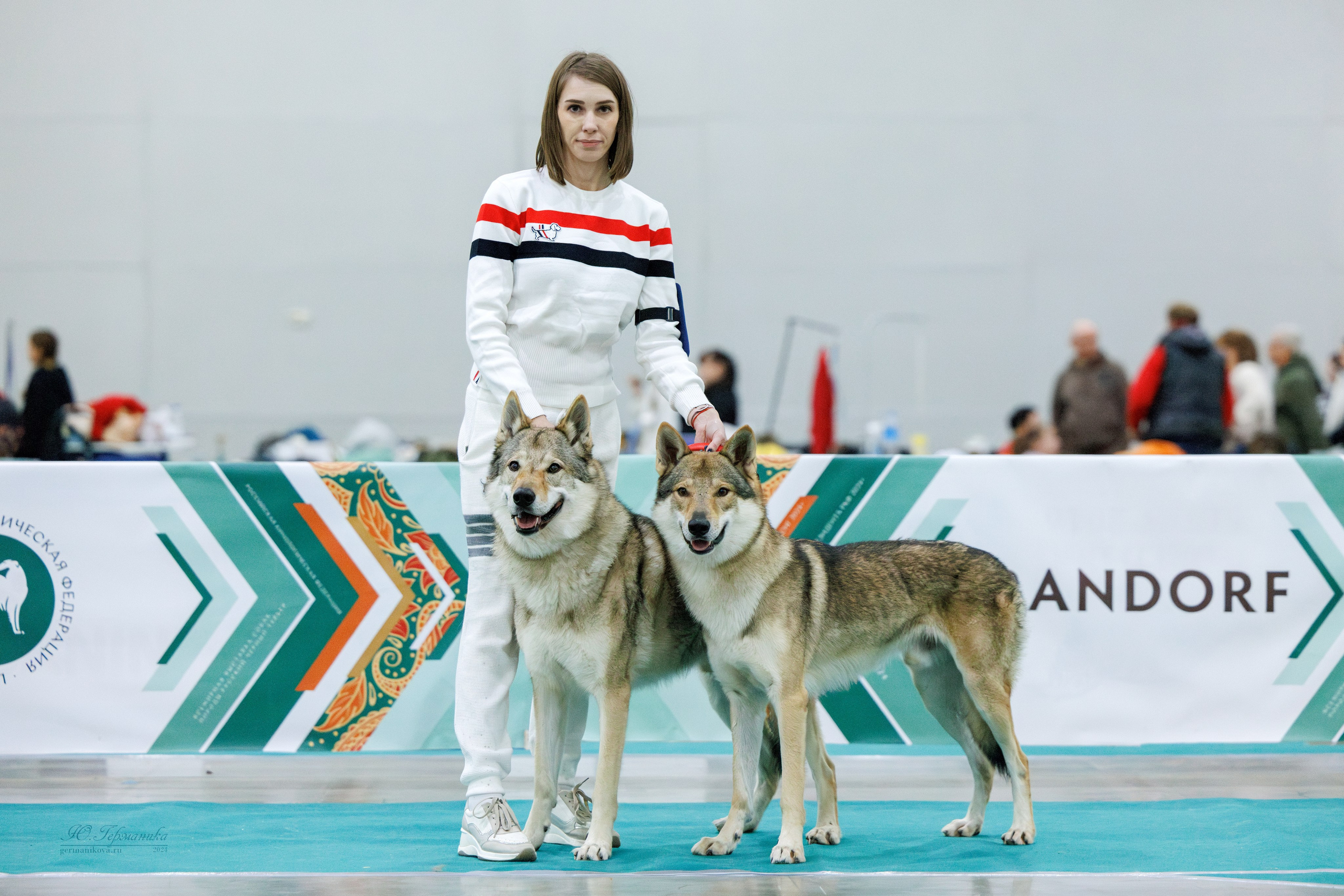 Евразия 16-17.11.2024. Фотограф-анималист Юлия Германика