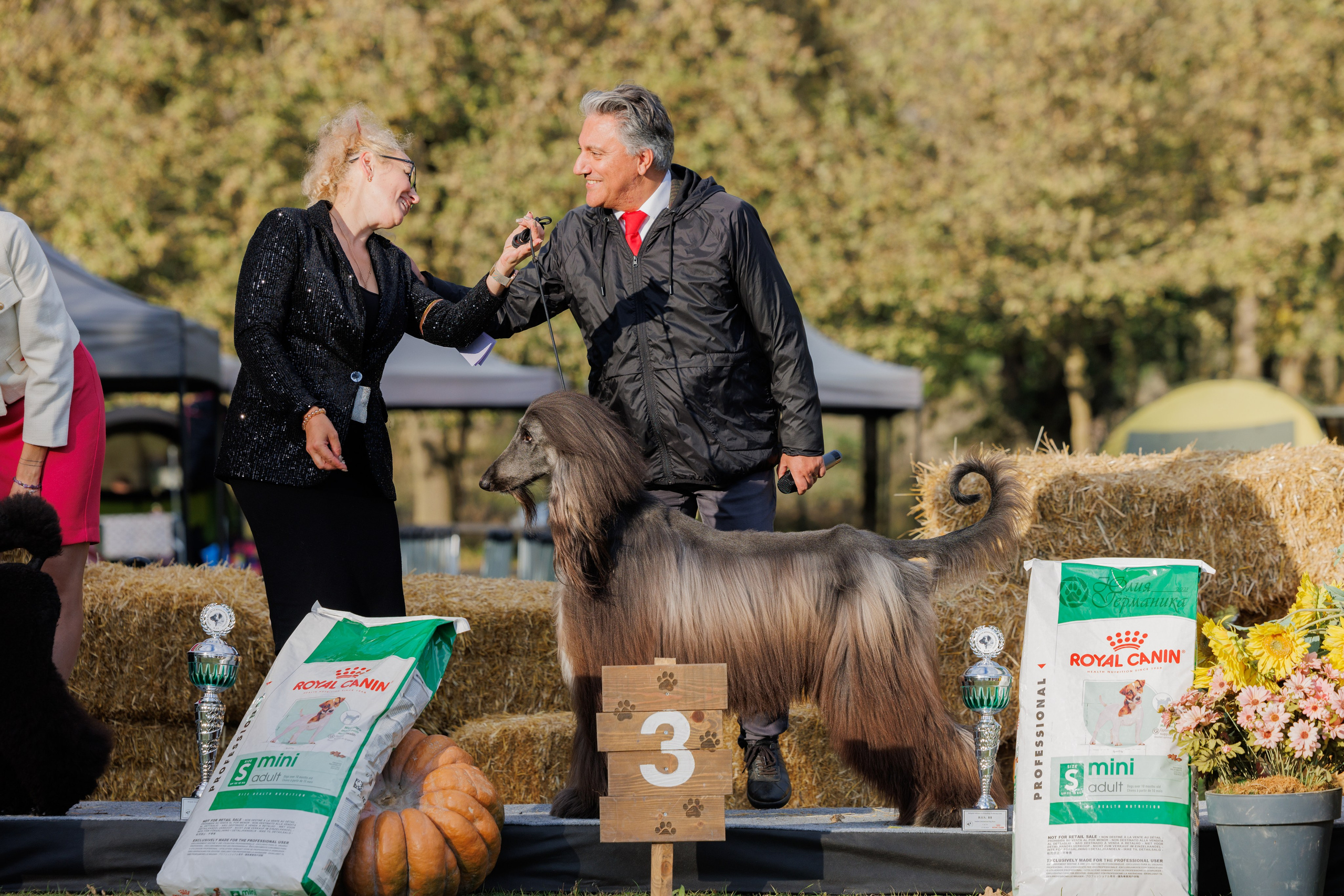 Туция,Стамбул 2хCACIB 26-27.10.24. Фотограф-анималист Юлия Германика