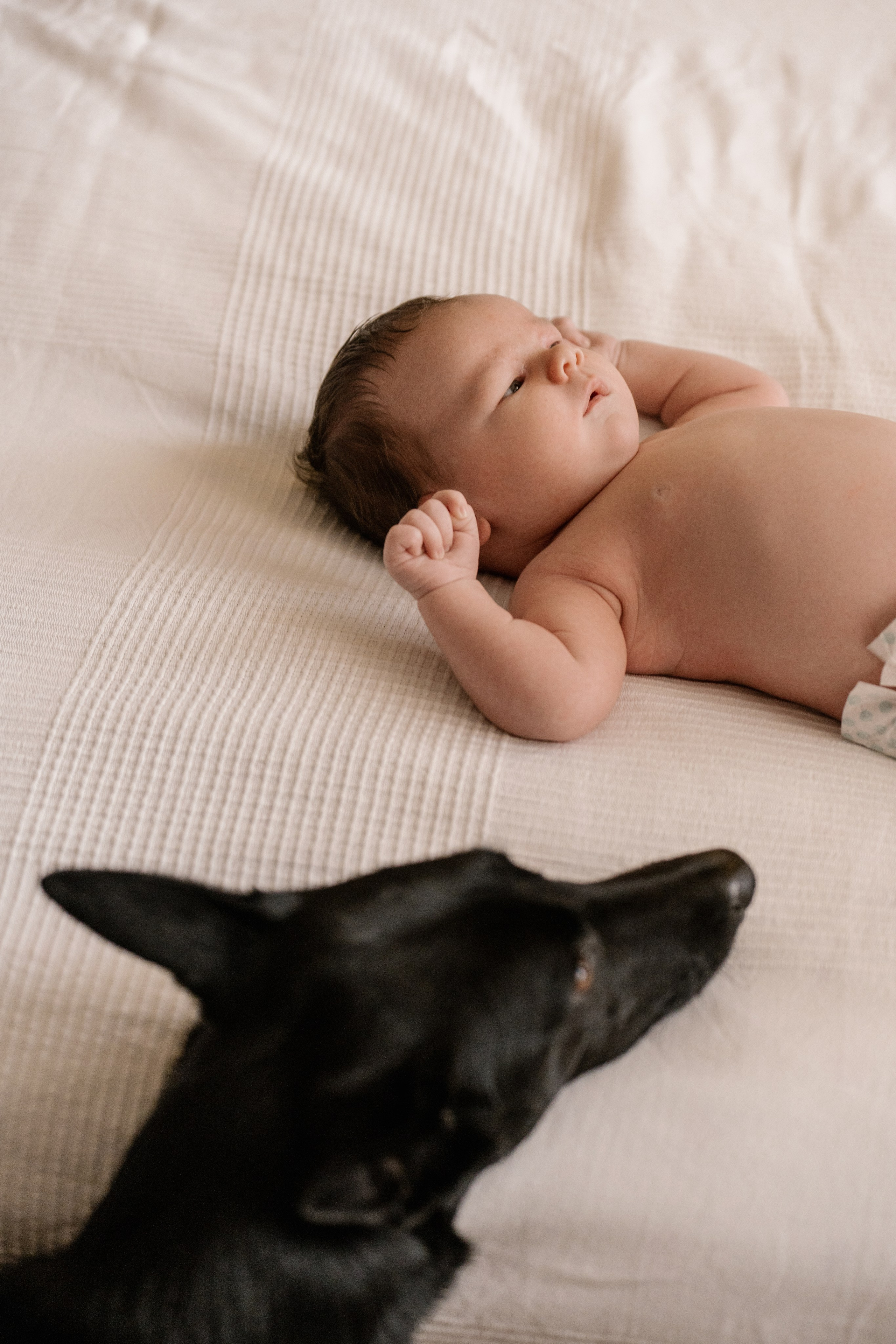 Добро пожаловать в семью. Свадебный и семейный фотограф в Новосибирске Светлана Варутина