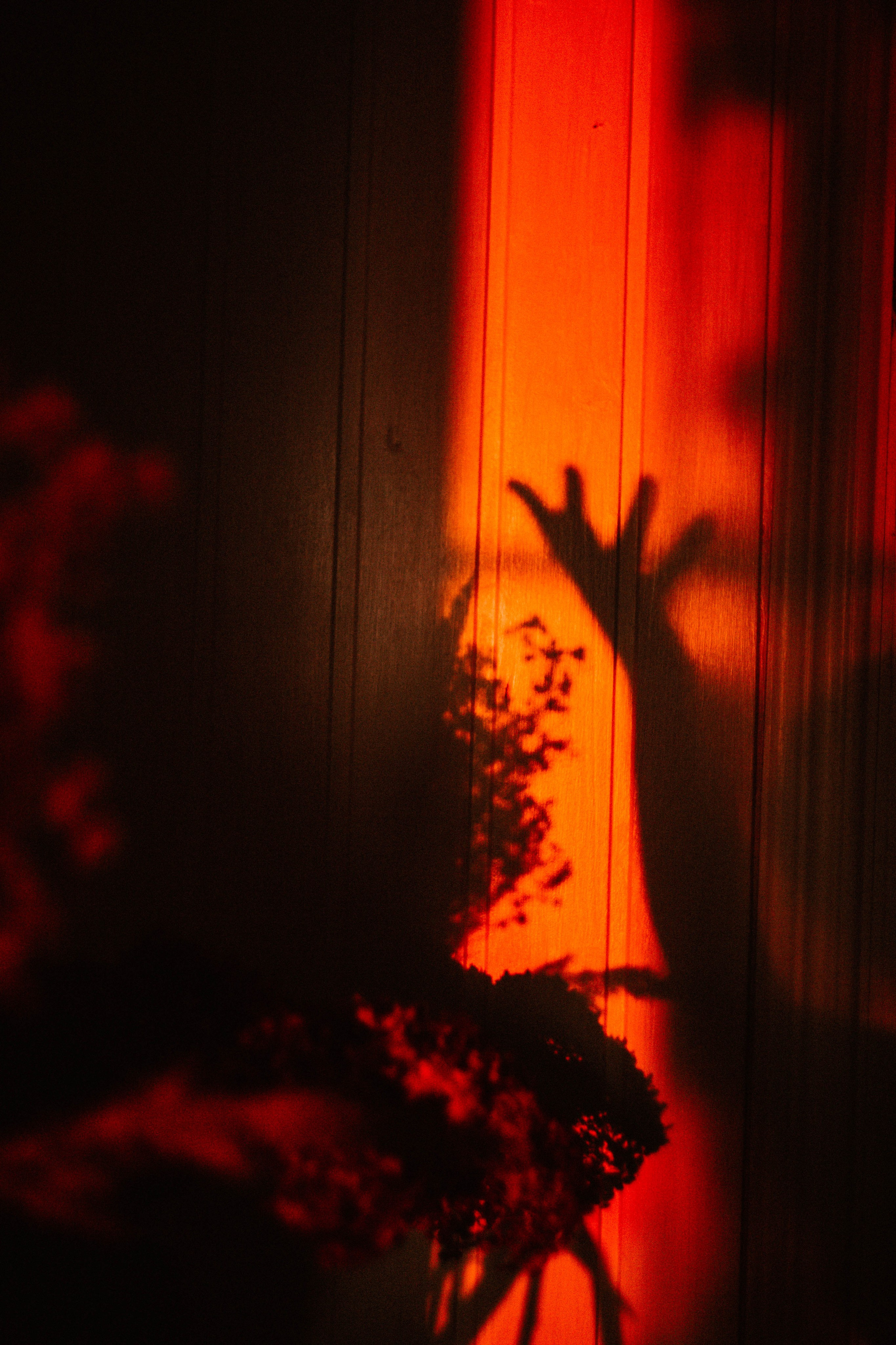 ФотоТуса ГОРЕ-МОРЕ. Фотограф в Нижнем Новгороде