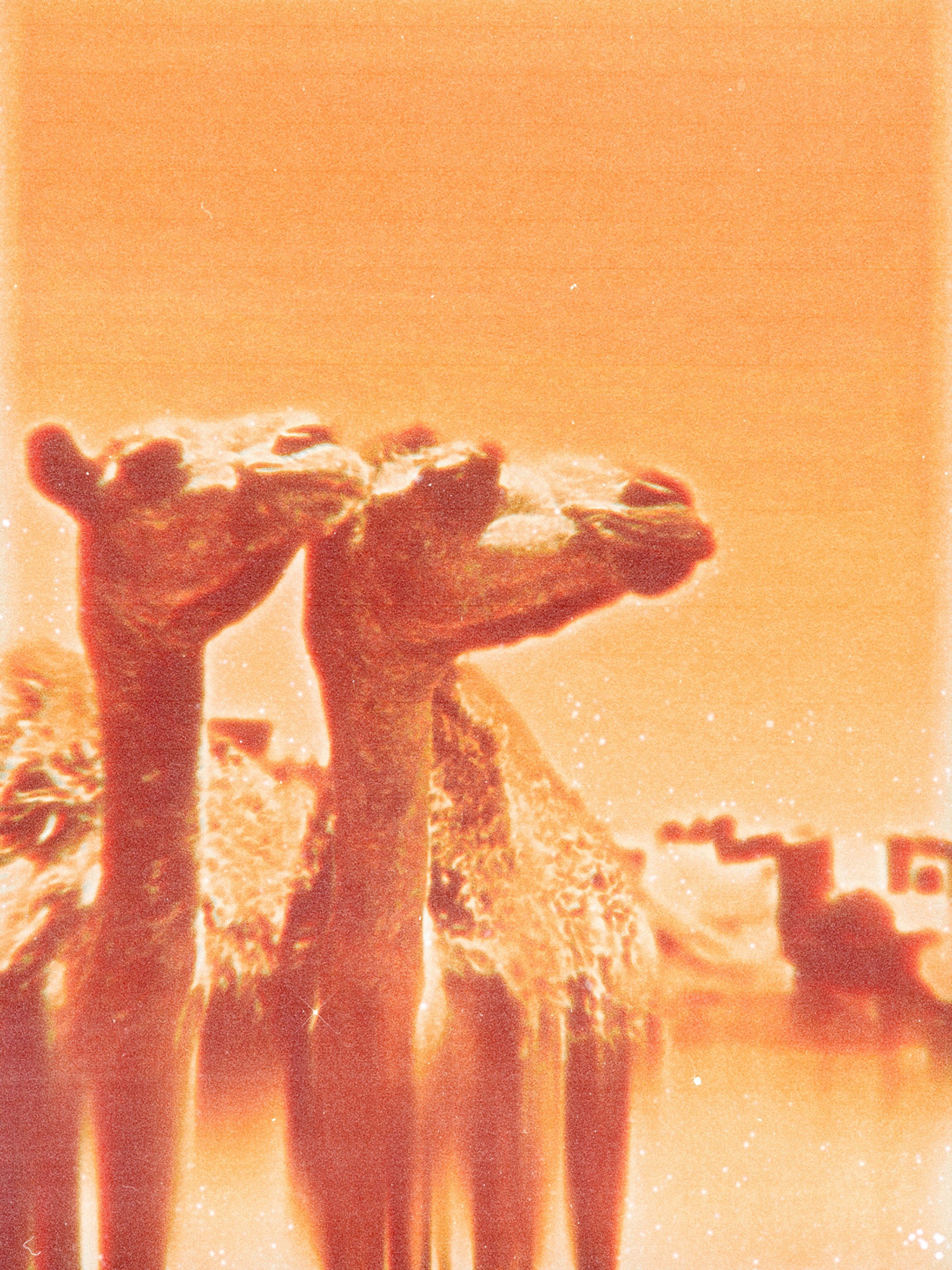 Street/travel. Sveti Sveta • визуальный артист Светлана Дубских