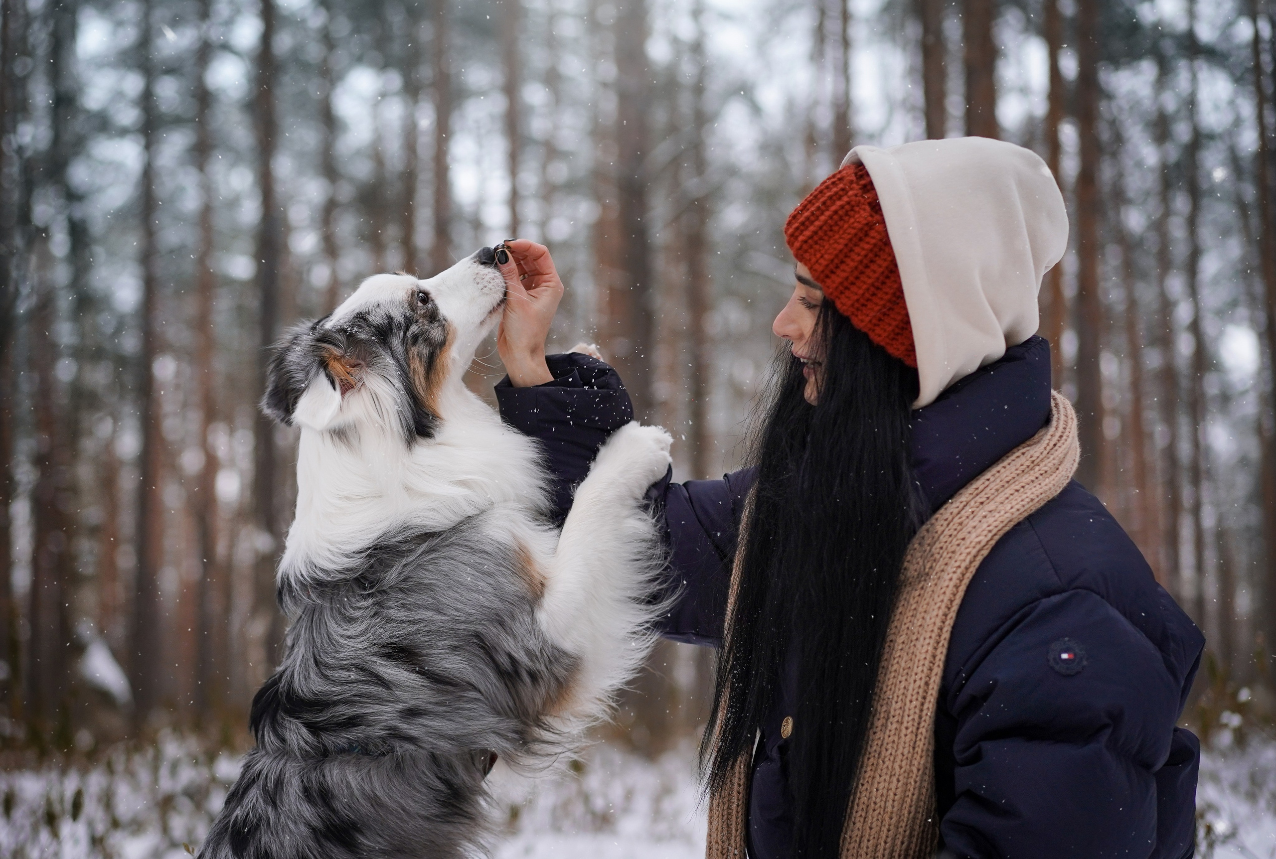 Антон Аиша и Римус. Фотограф-анималист в Санкт-Петербурге Яна Мартынова