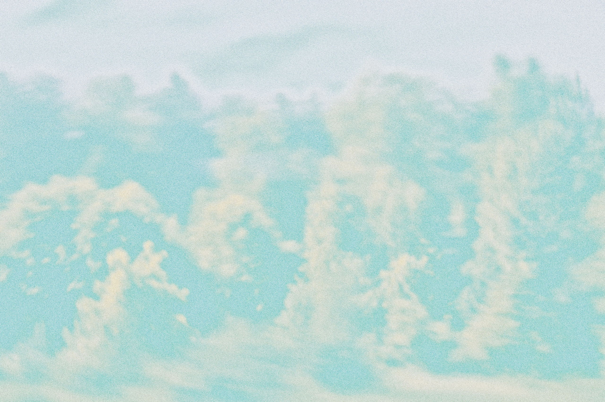 Negative Colors. Художественный фотограф в Москве Алексей Сутягин