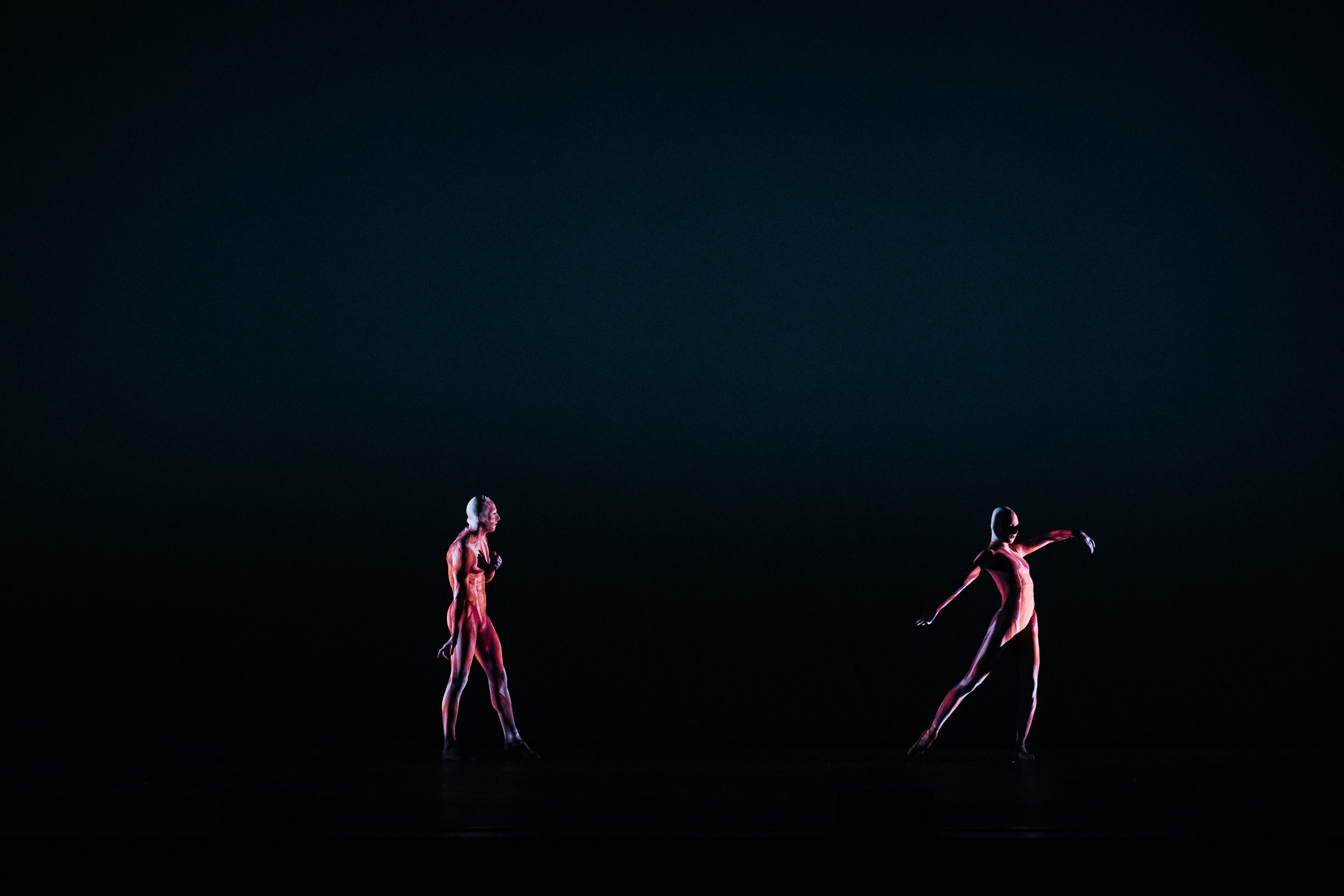 Современный балет Лабиринт. Светский фотограф — Анисина Ирина