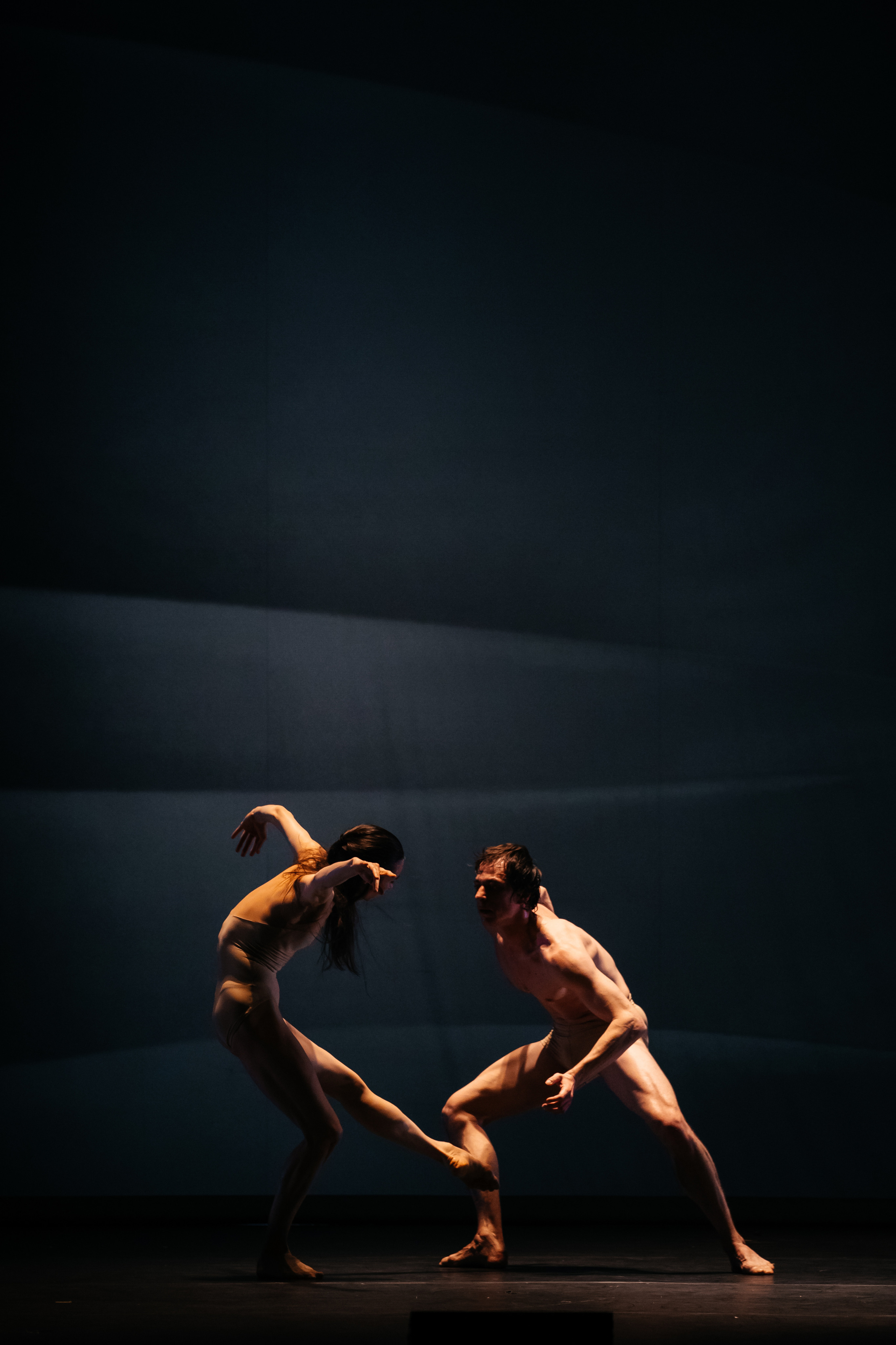 Современный балет Лабиринт. Светский фотограф — Анисина Ирина