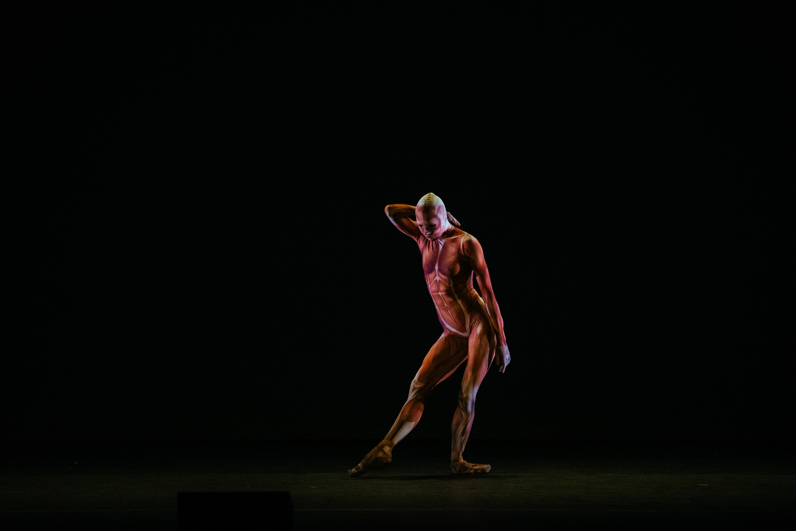 Современный балет Лабиринт. Светский фотограф — Анисина Ирина