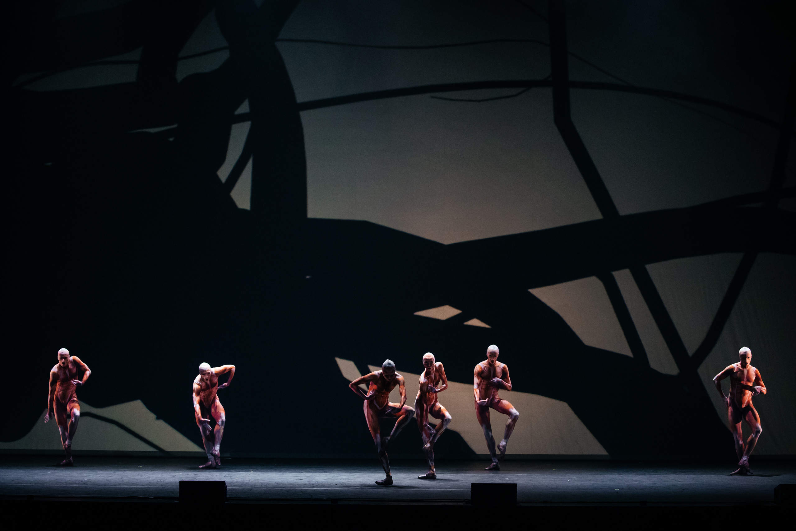 Современный балет Лабиринт. Светский фотограф — Анисина Ирина