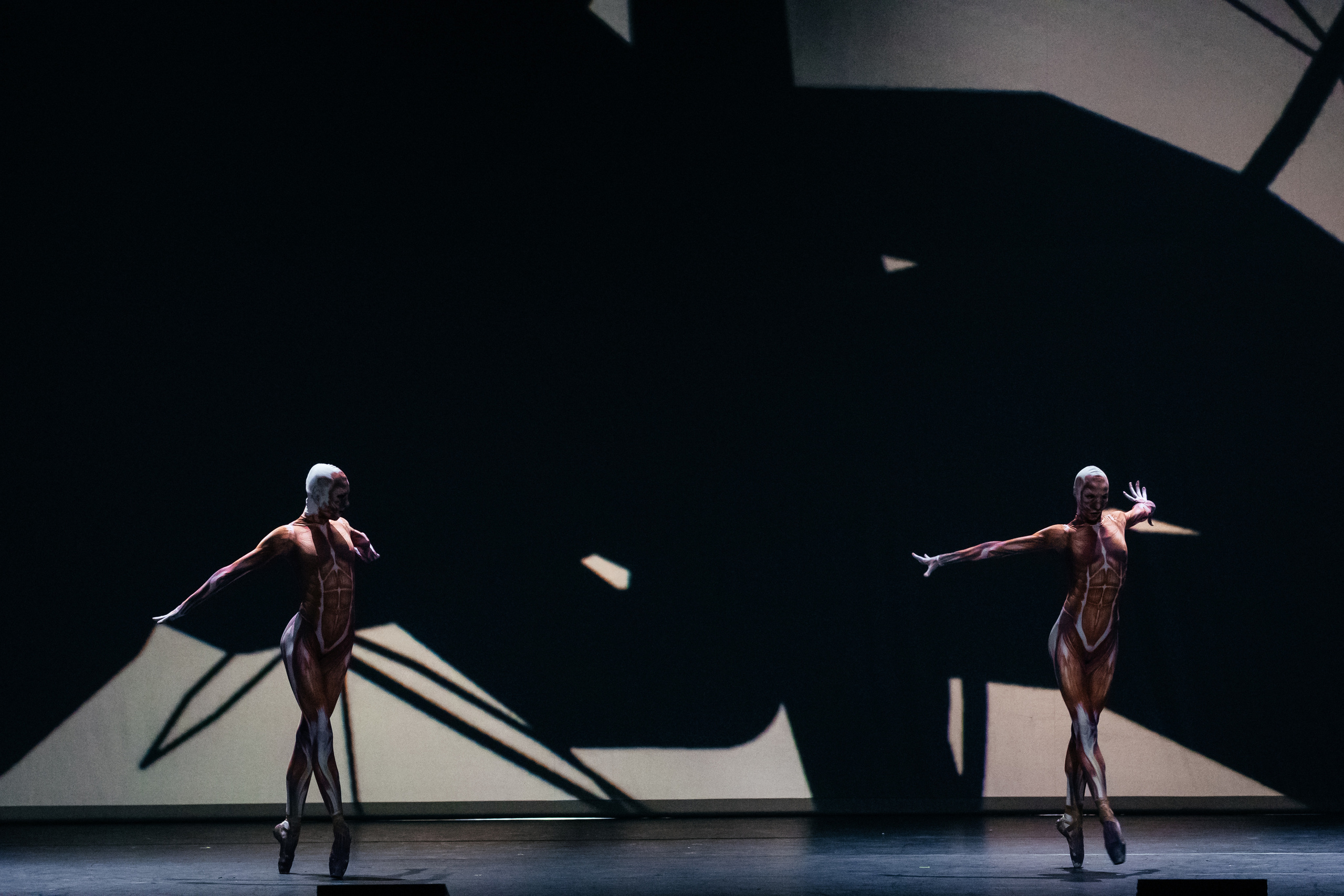 Современный балет Лабиринт. Светский фотограф — Анисина Ирина