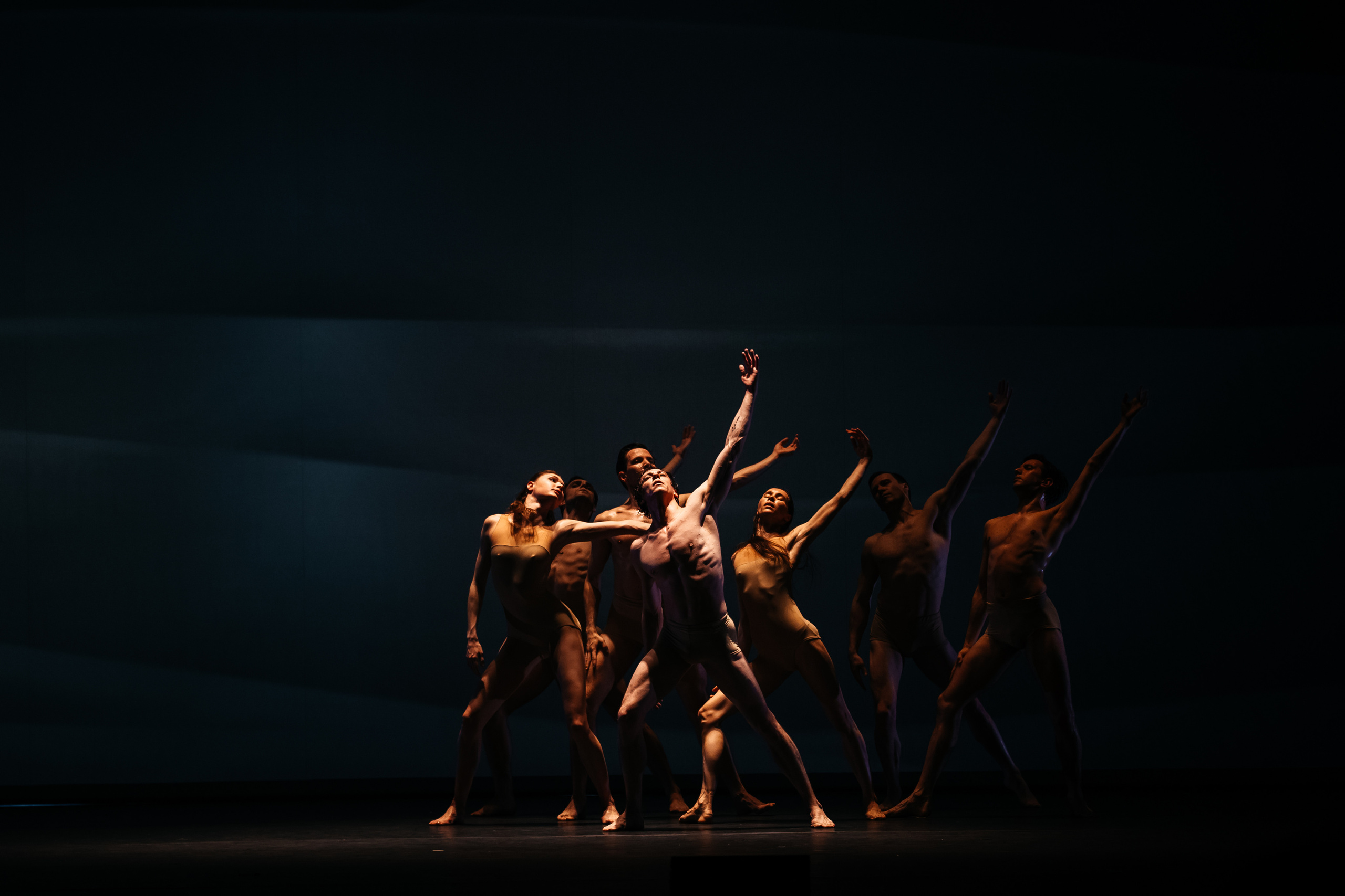 Современный балет Лабиринт. Светский фотограф — Анисина Ирина