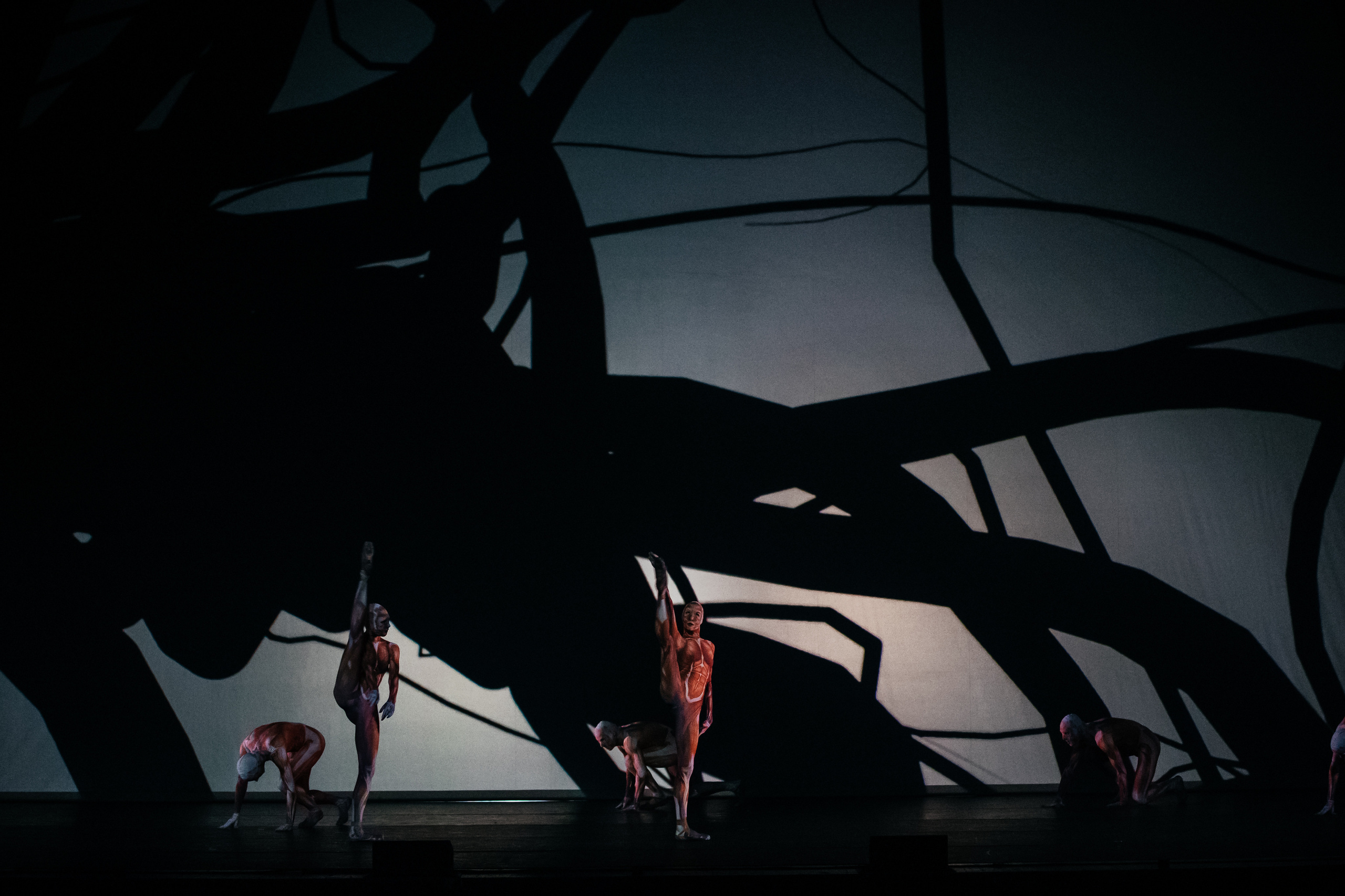 Современный балет Лабиринт. Светский фотограф — Анисина Ирина