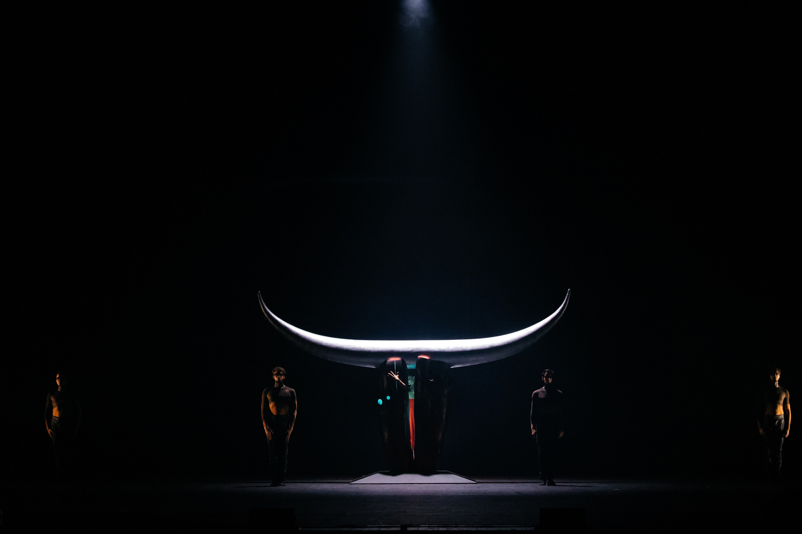 Современный балет Лабиринт. Светский фотограф — Анисина Ирина