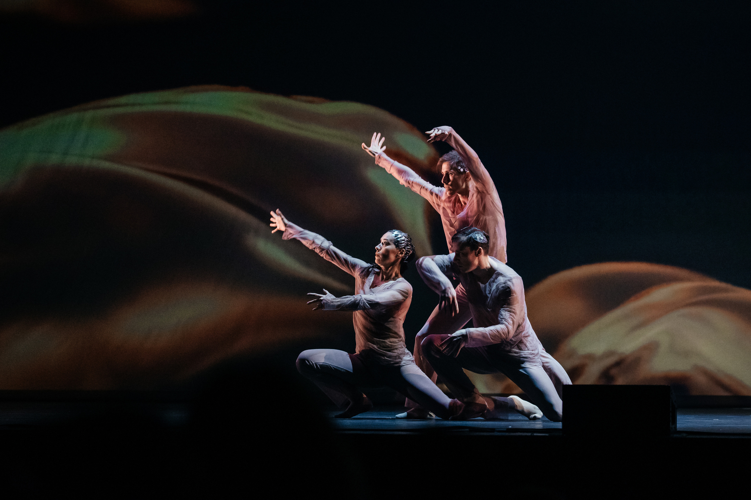 Современный балет Лабиринт. Светский фотограф — Анисина Ирина