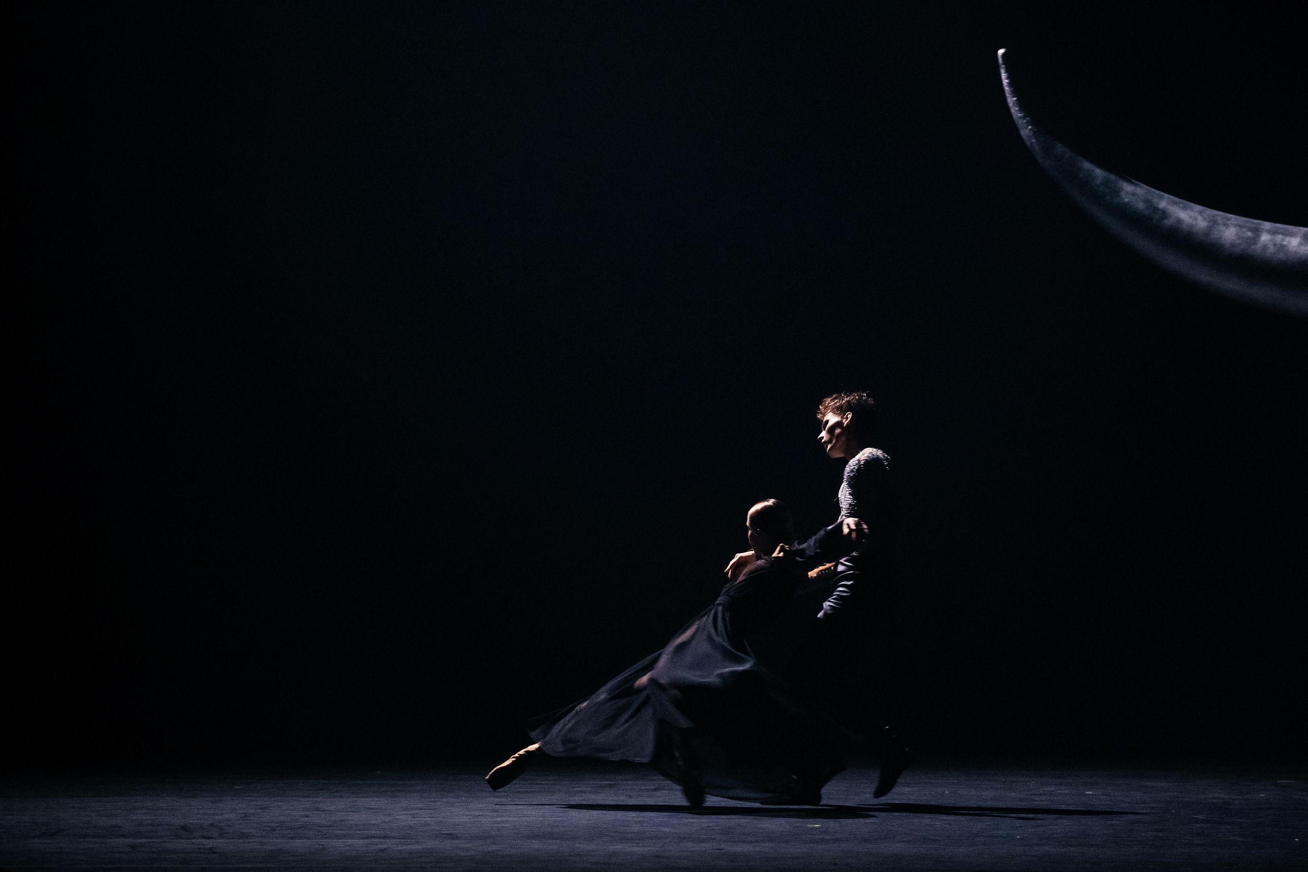 Современный балет Лабиринт. Светский фотограф — Анисина Ирина