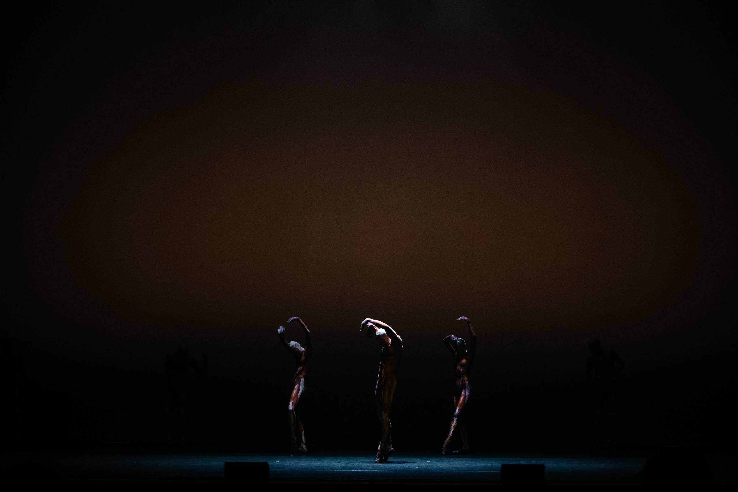 Современный балет Лабиринт. Светский фотограф — Анисина Ирина