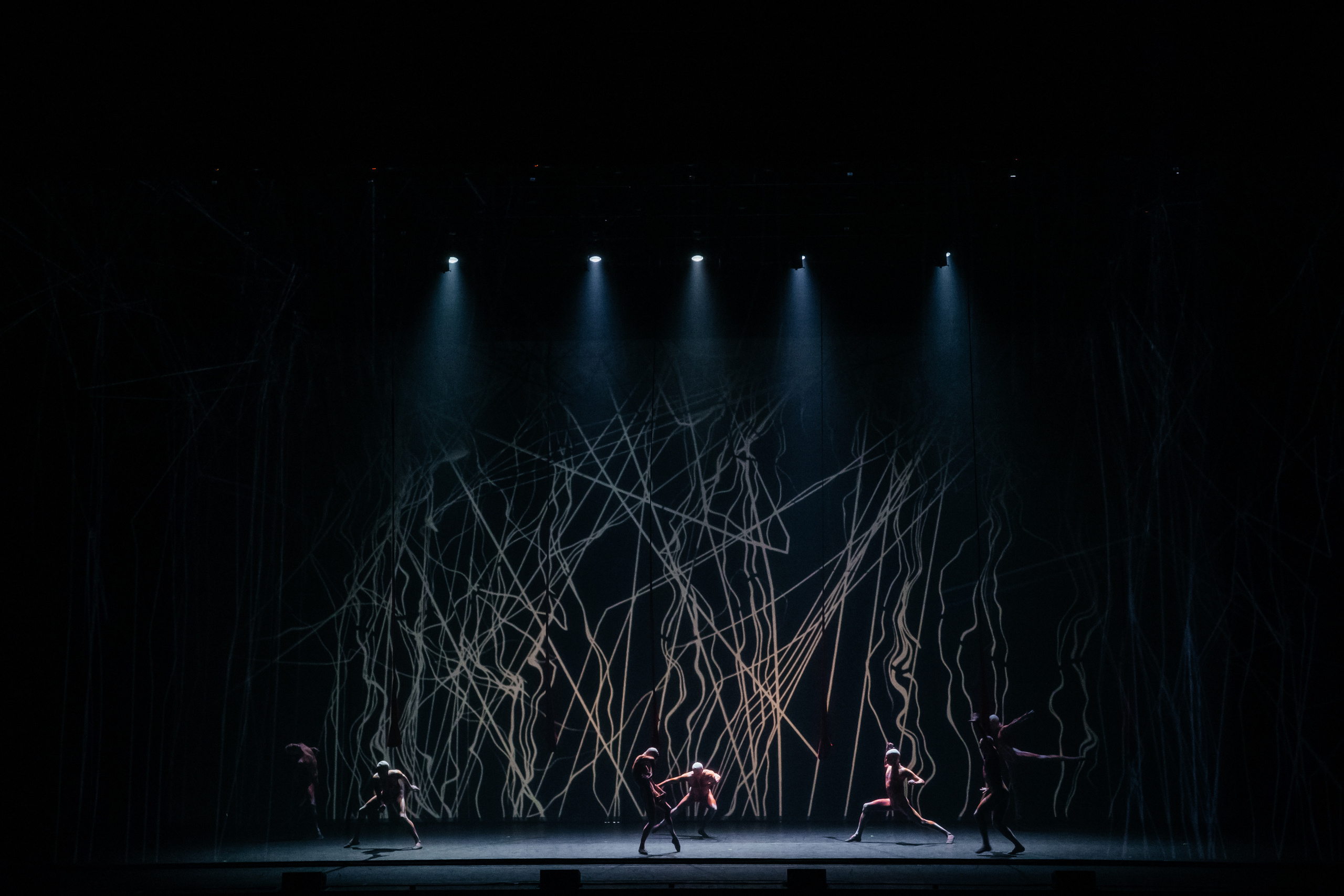 Современный балет Лабиринт. Светский фотограф — Анисина Ирина