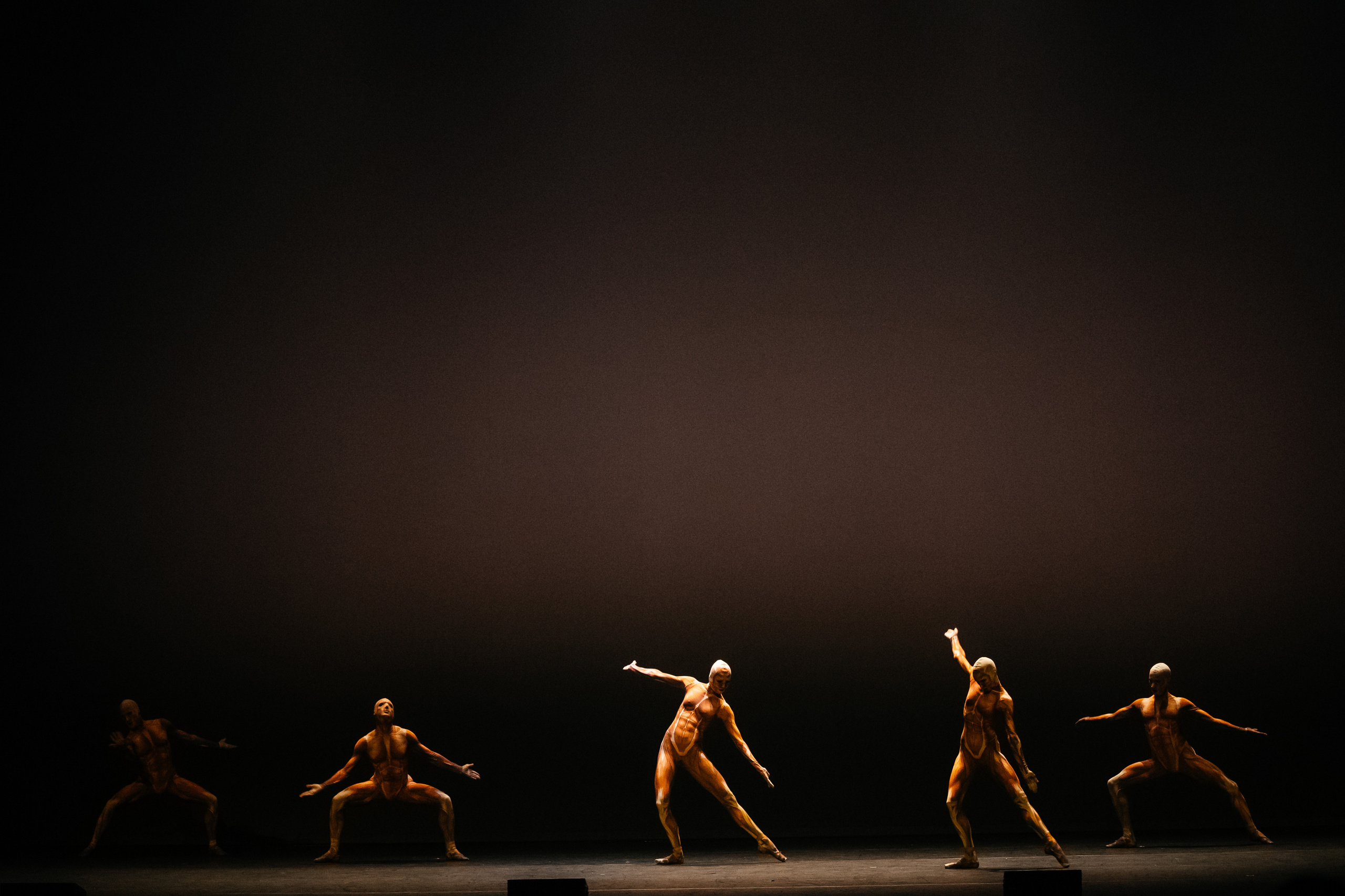 Современный балет Лабиринт. Светский фотограф — Анисина Ирина