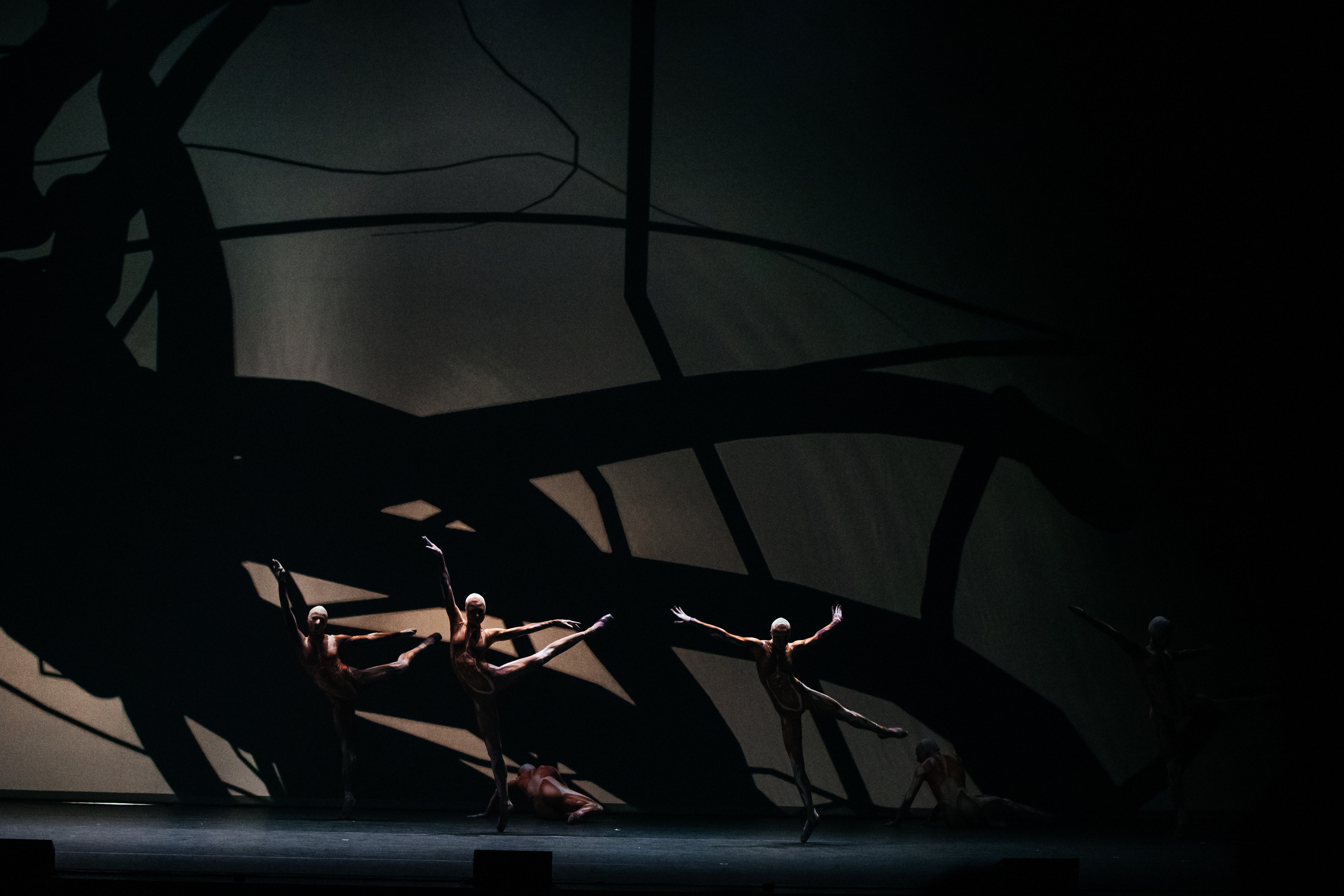 Современный балет Лабиринт. Светский фотограф — Анисина Ирина