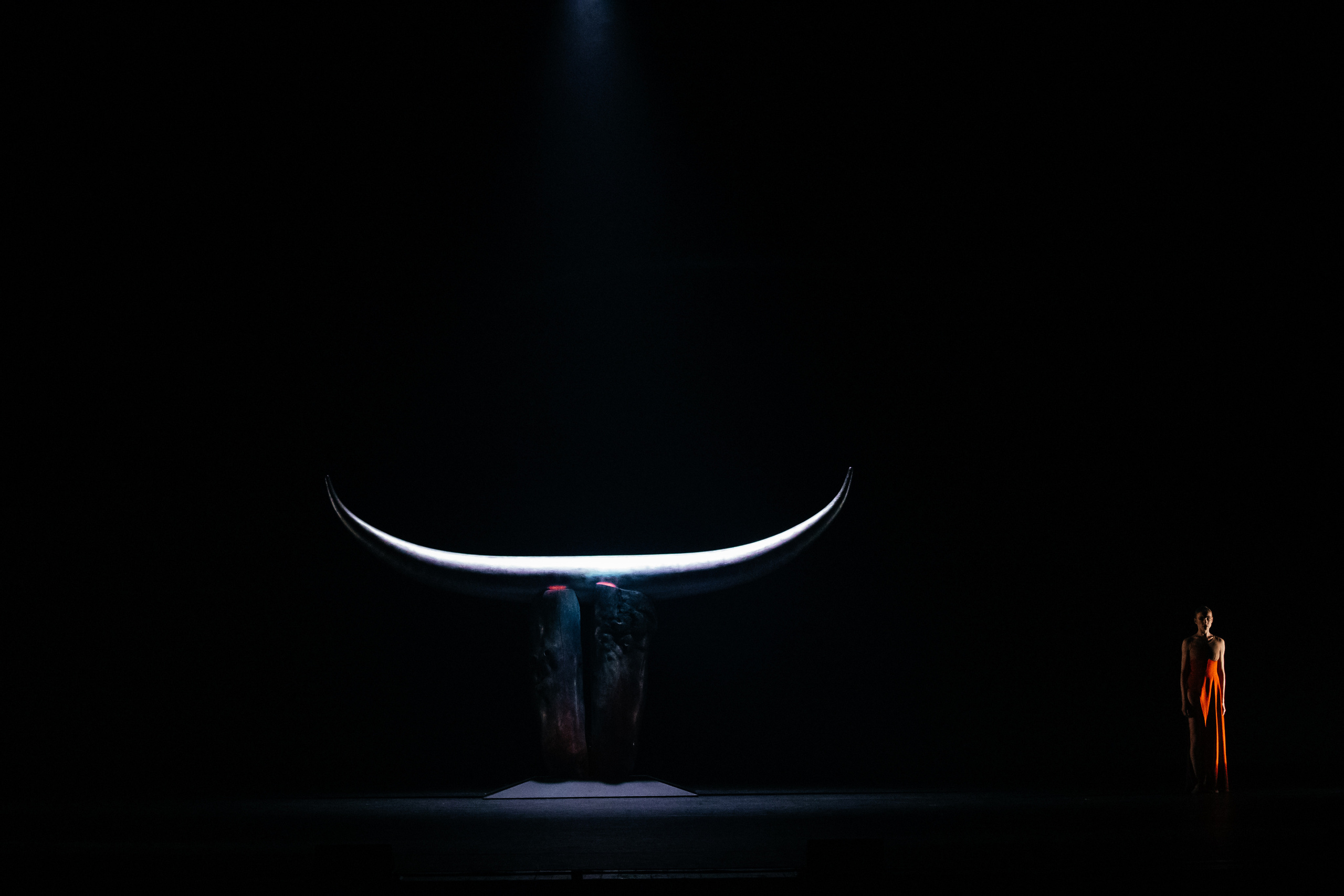 Современный балет Лабиринт. Светский фотограф — Анисина Ирина