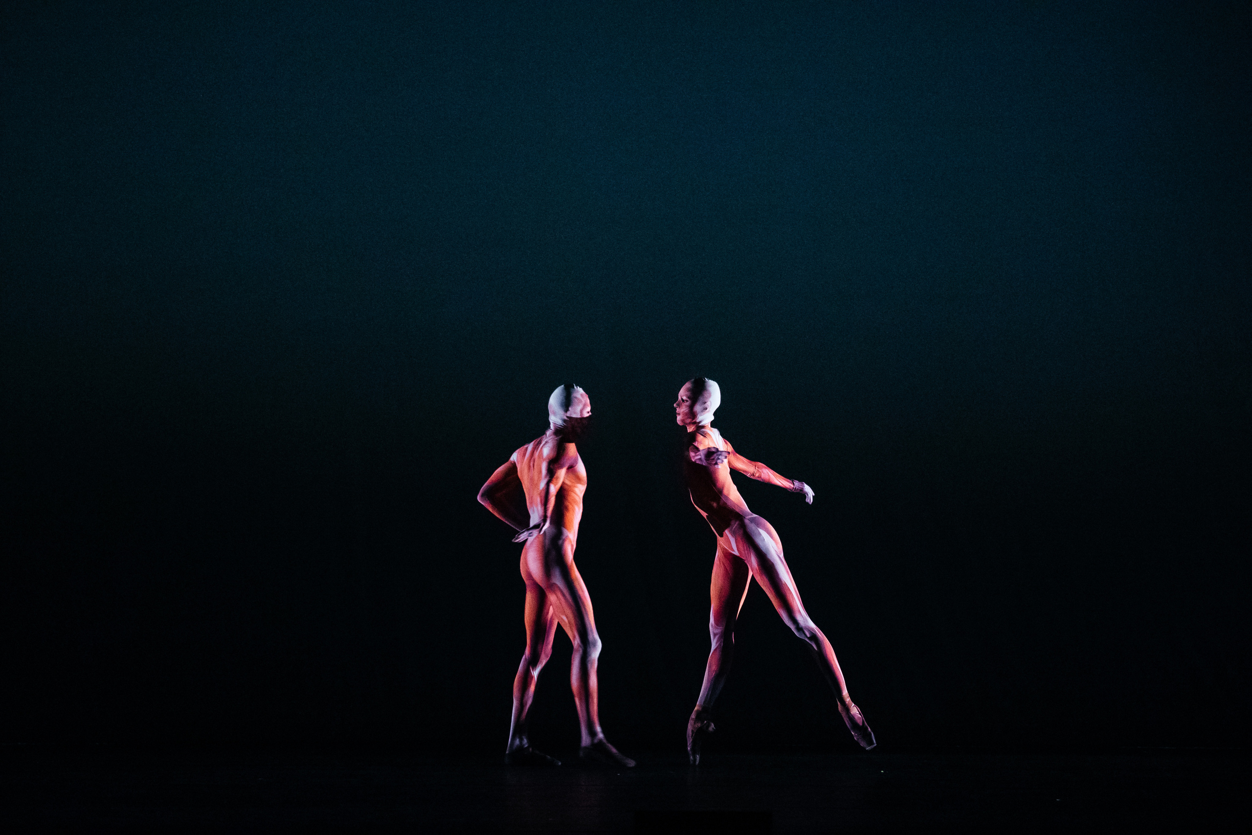 Современный балет Лабиринт. Светский фотограф — Анисина Ирина