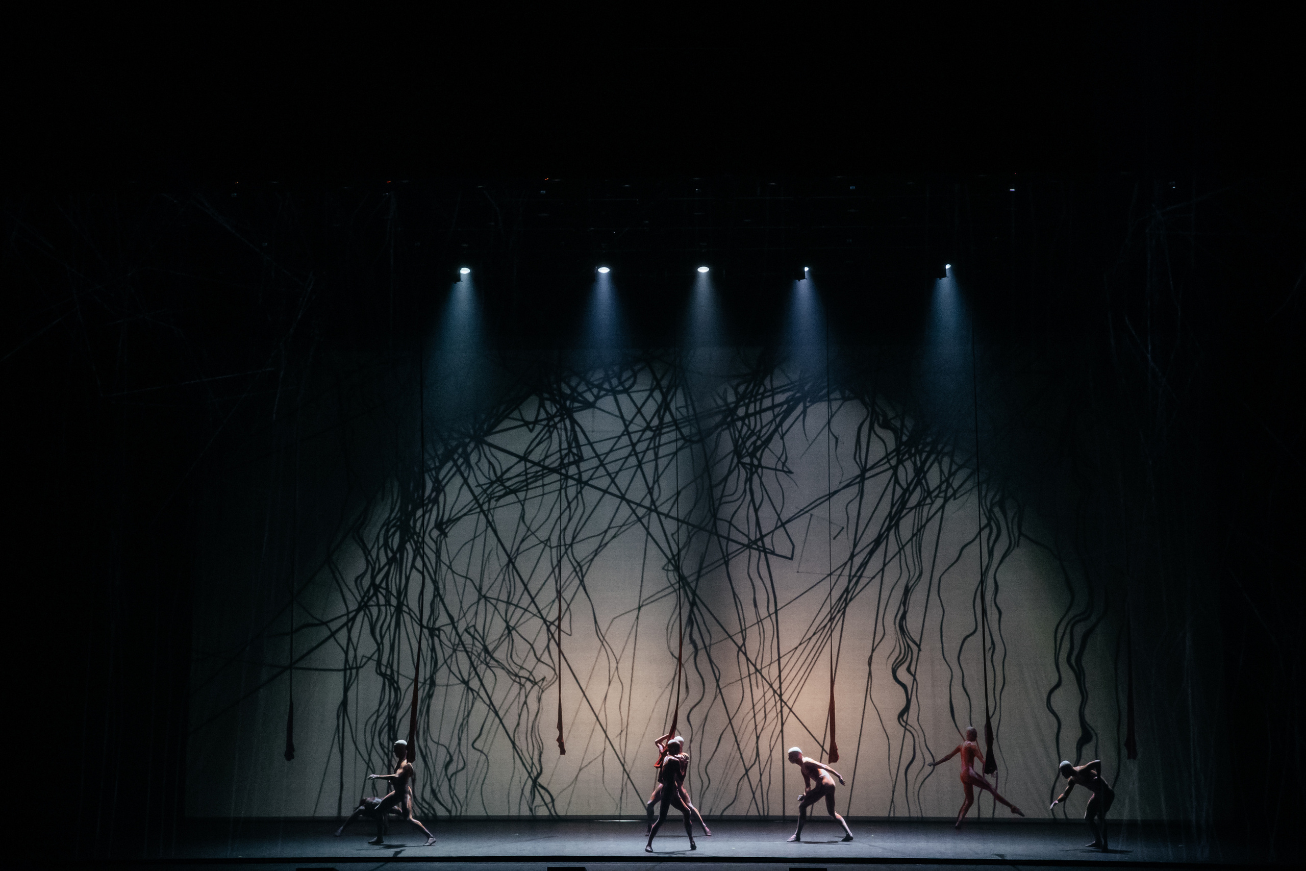 Современный балет Лабиринт. Светский фотограф — Анисина Ирина