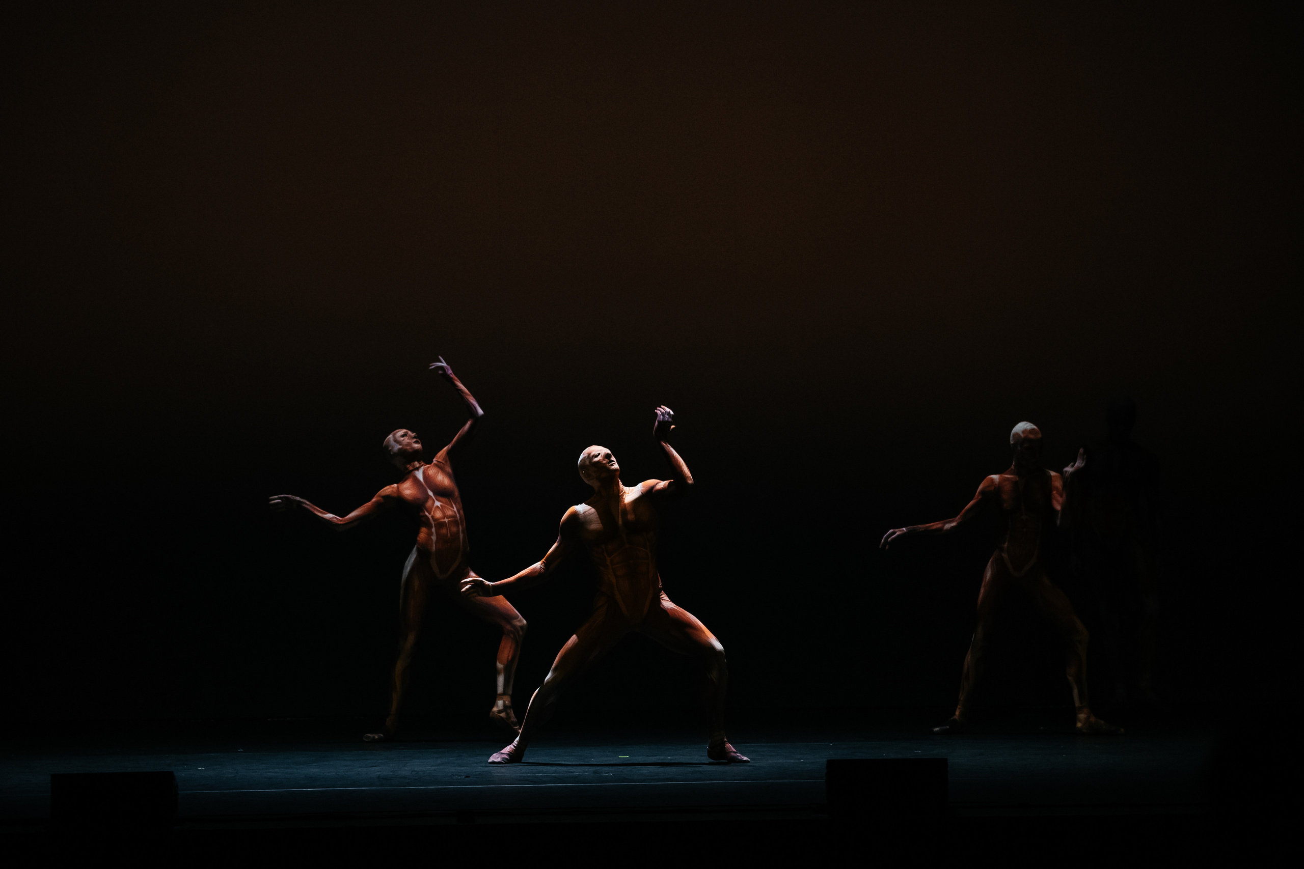 Современный балет Лабиринт. Светский фотограф — Анисина Ирина