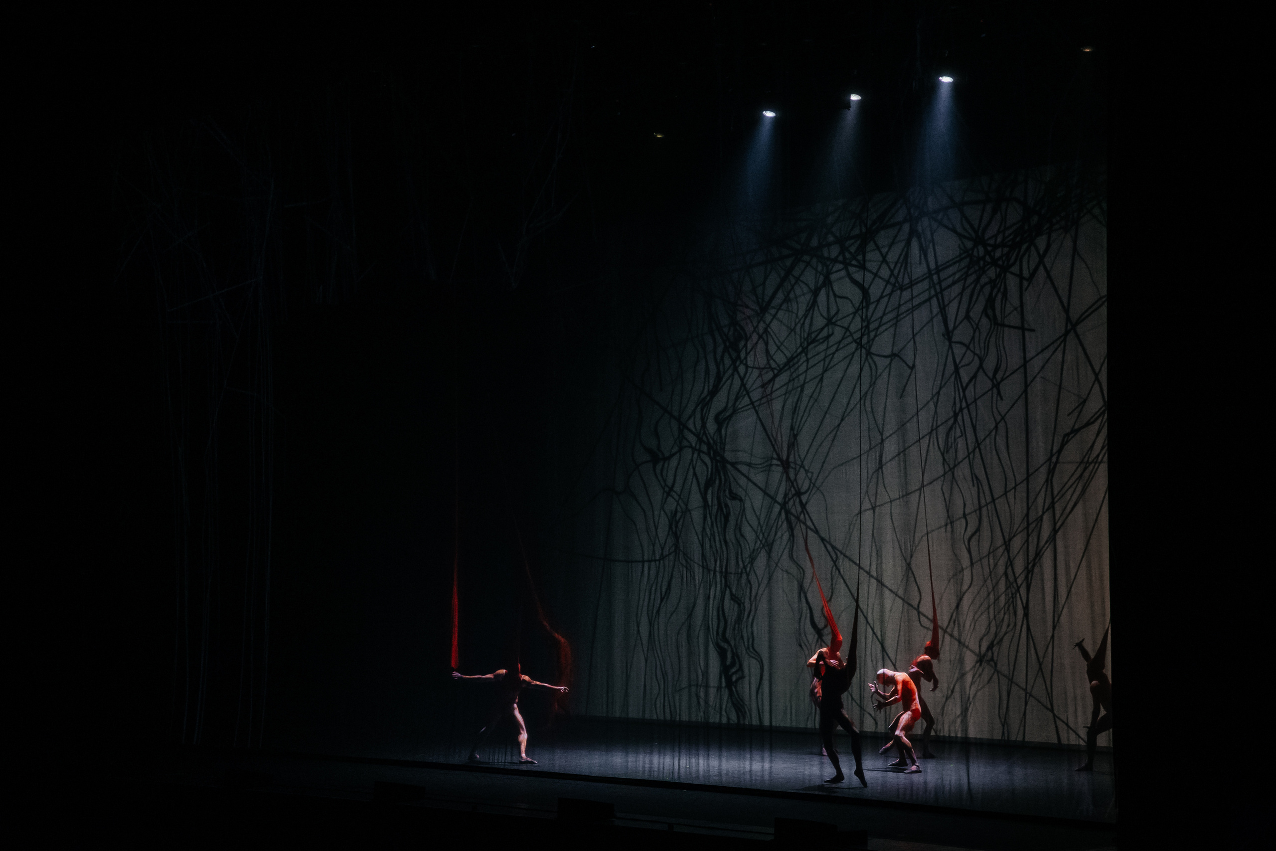 Современный балет Лабиринт. Светский фотограф — Анисина Ирина