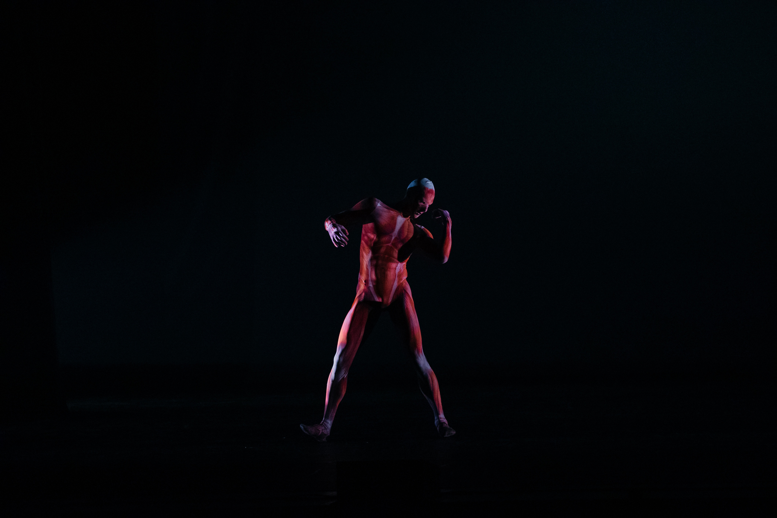 Современный балет Лабиринт. Светский фотограф — Анисина Ирина