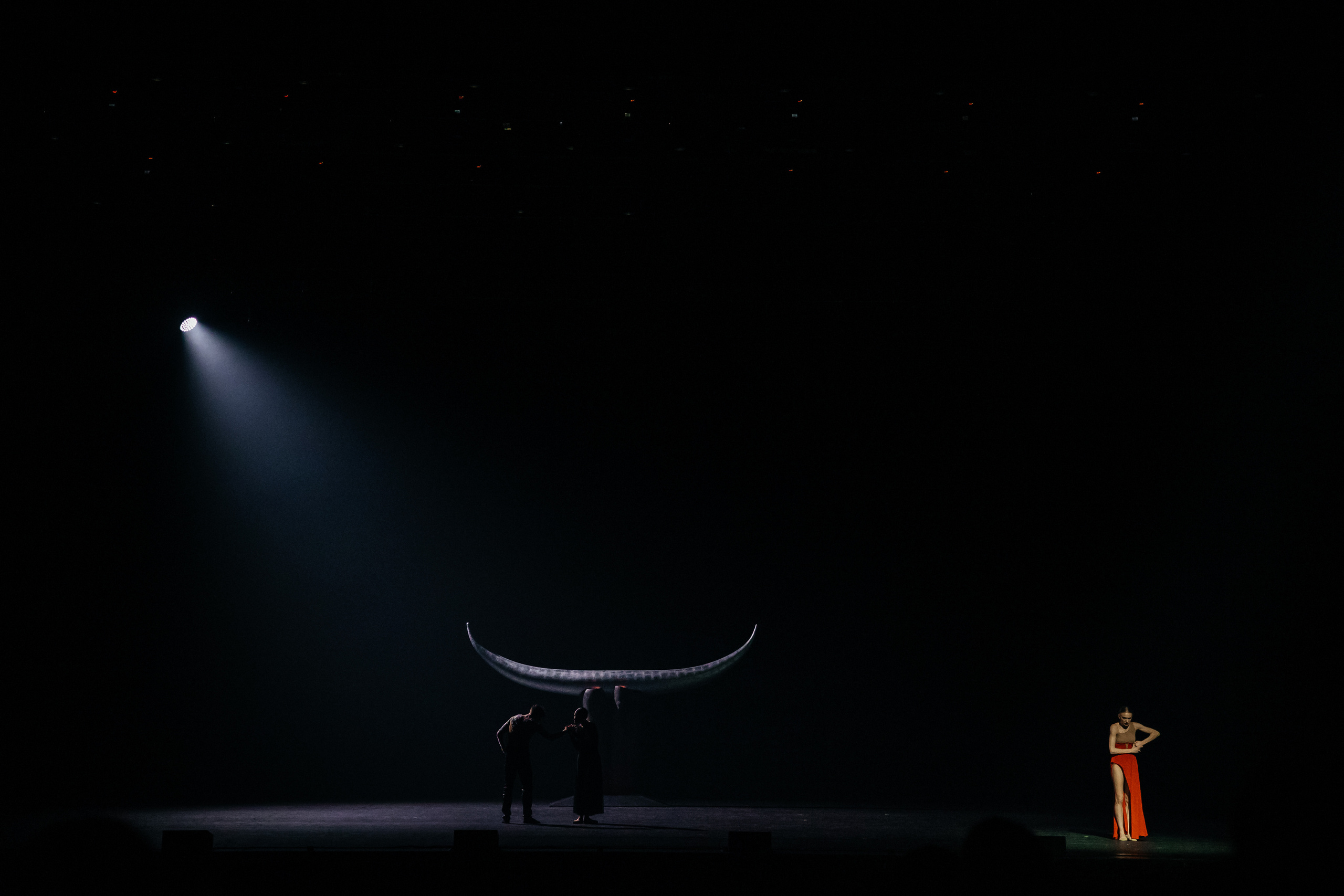 Современный балет Лабиринт. Светский фотограф — Анисина Ирина