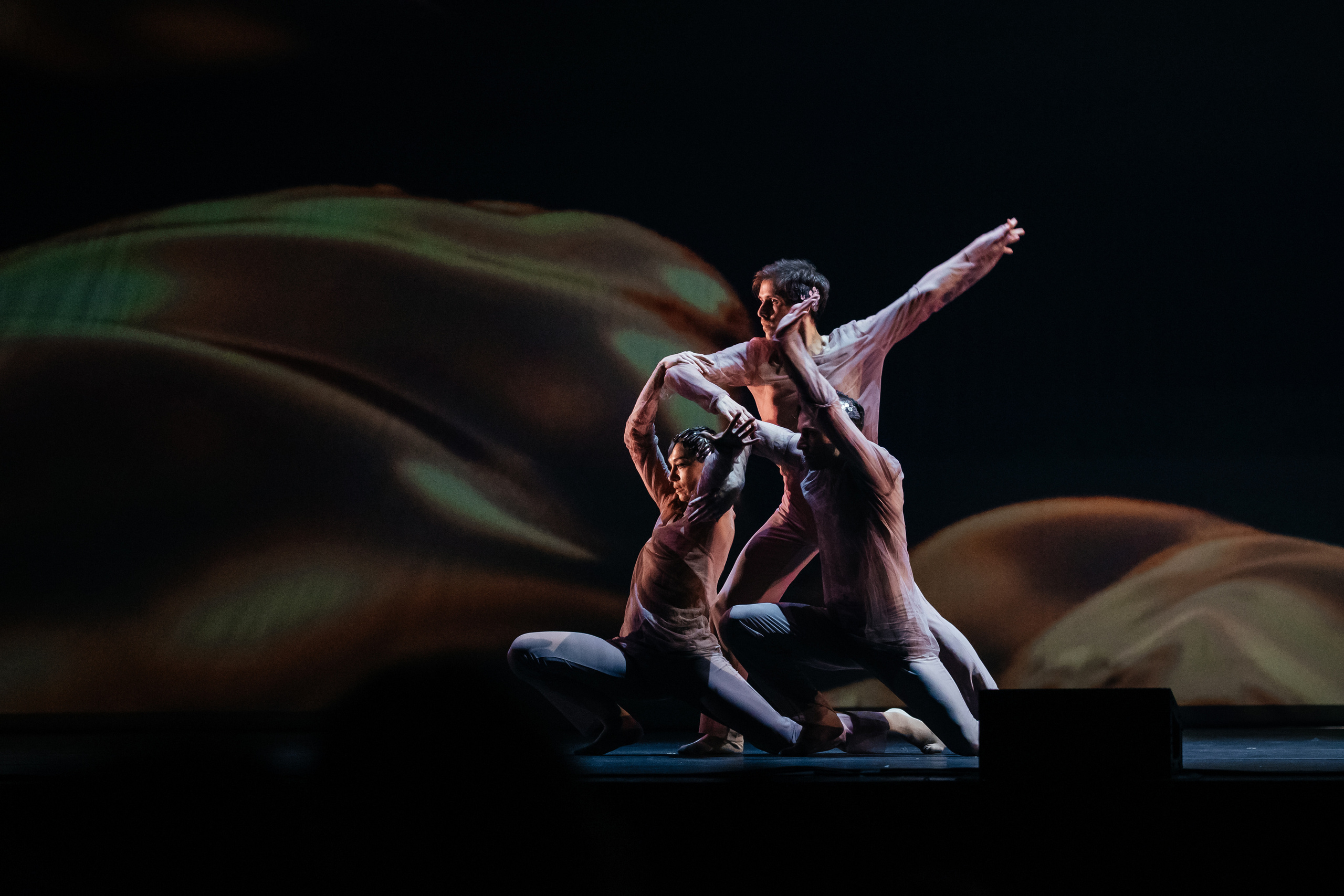 Современный балет Лабиринт. Светский фотограф — Анисина Ирина